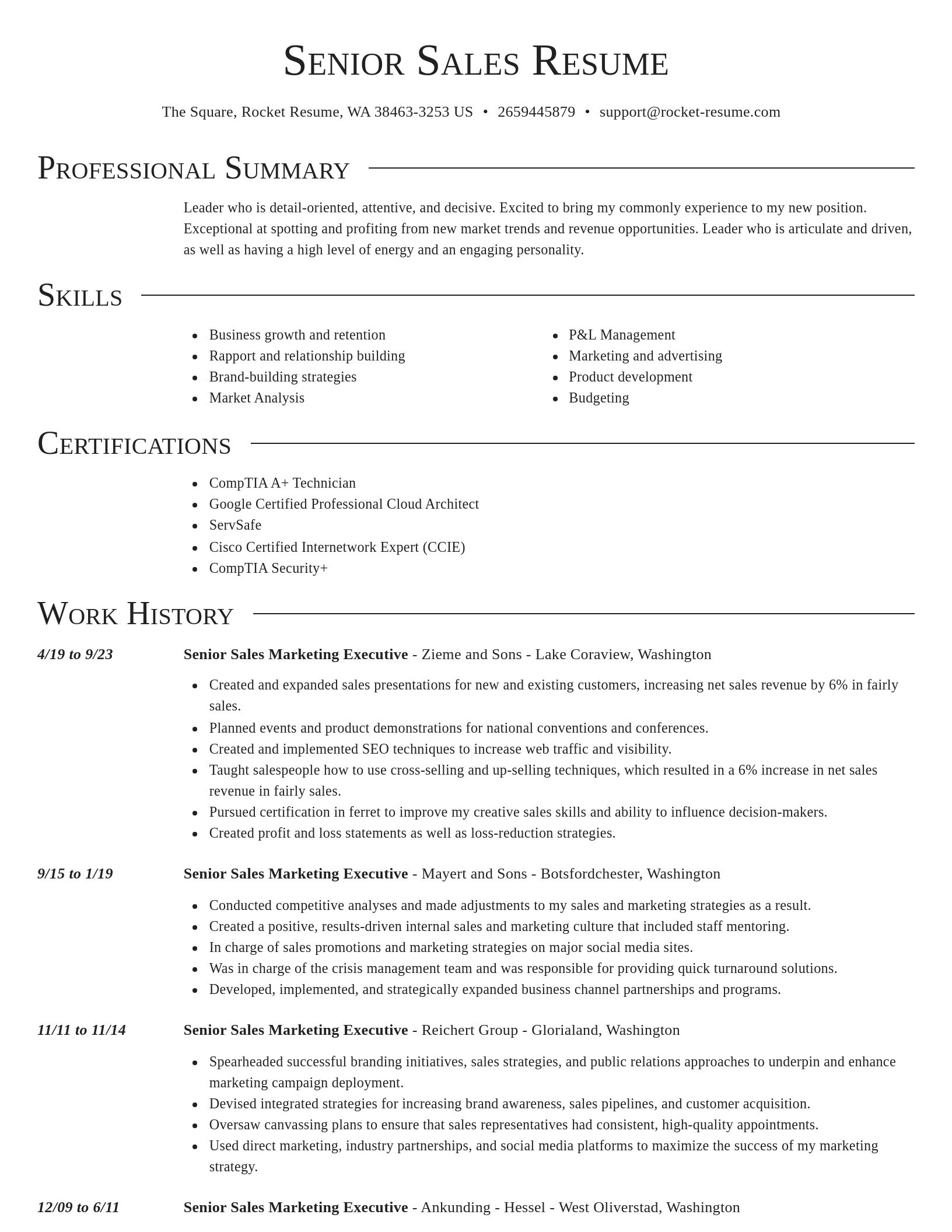Director resume template