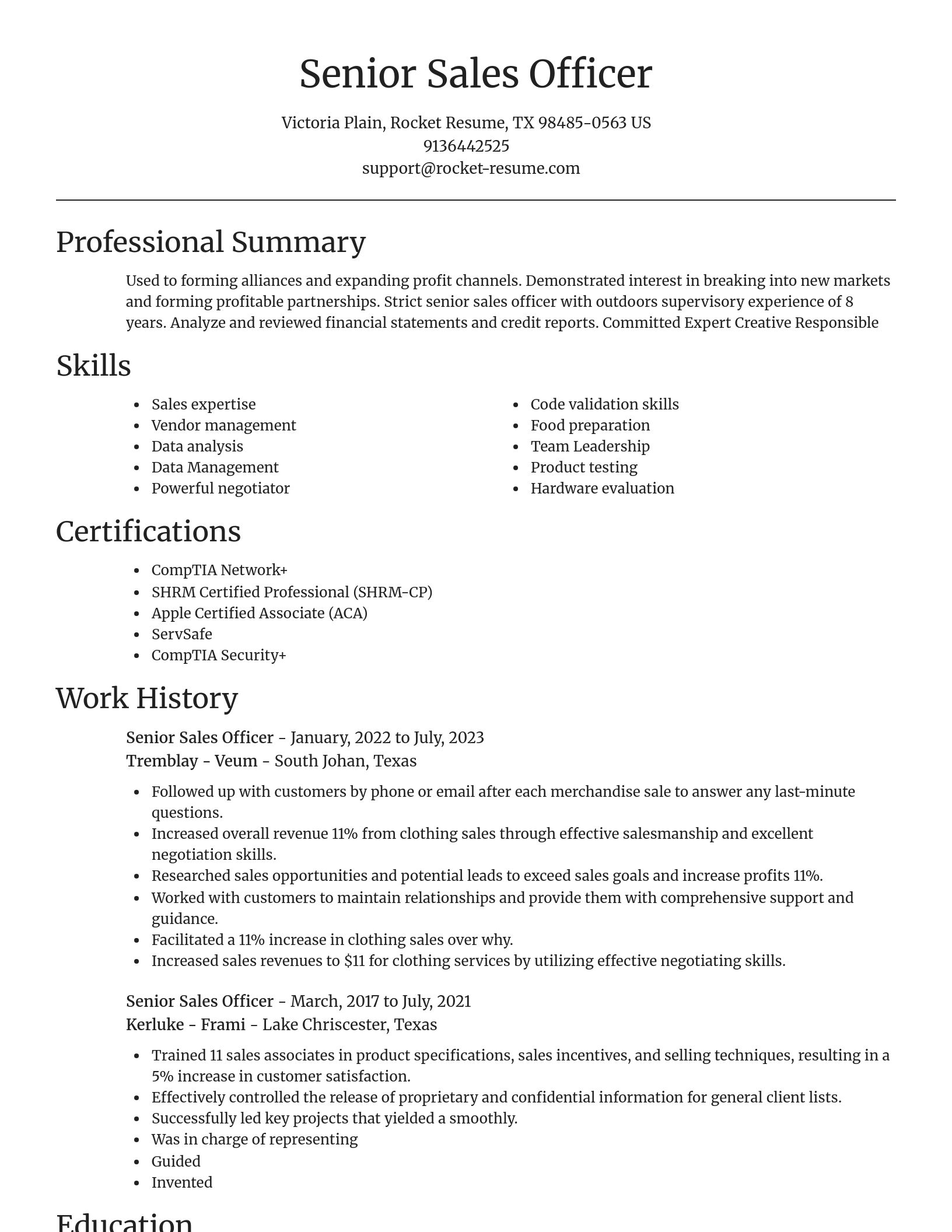 Focal Point resume template