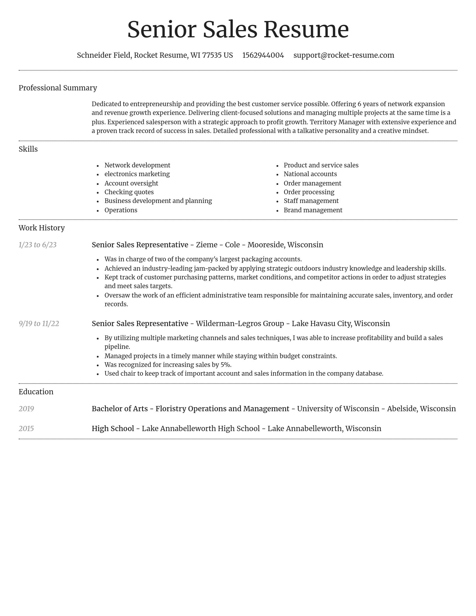 Dignified resume template