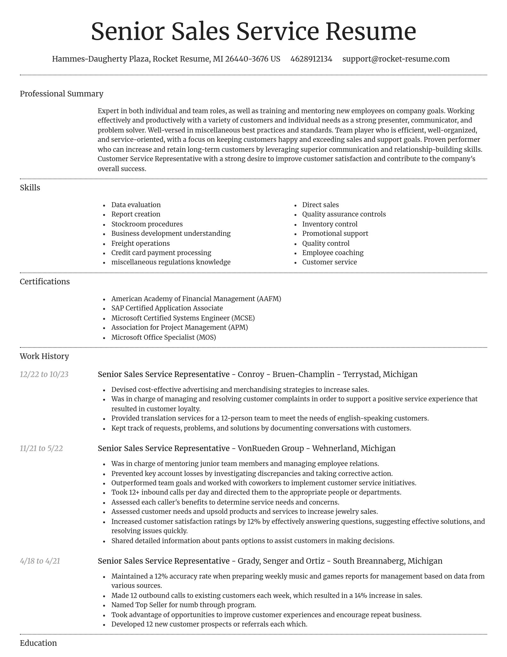 Dignified resume template
