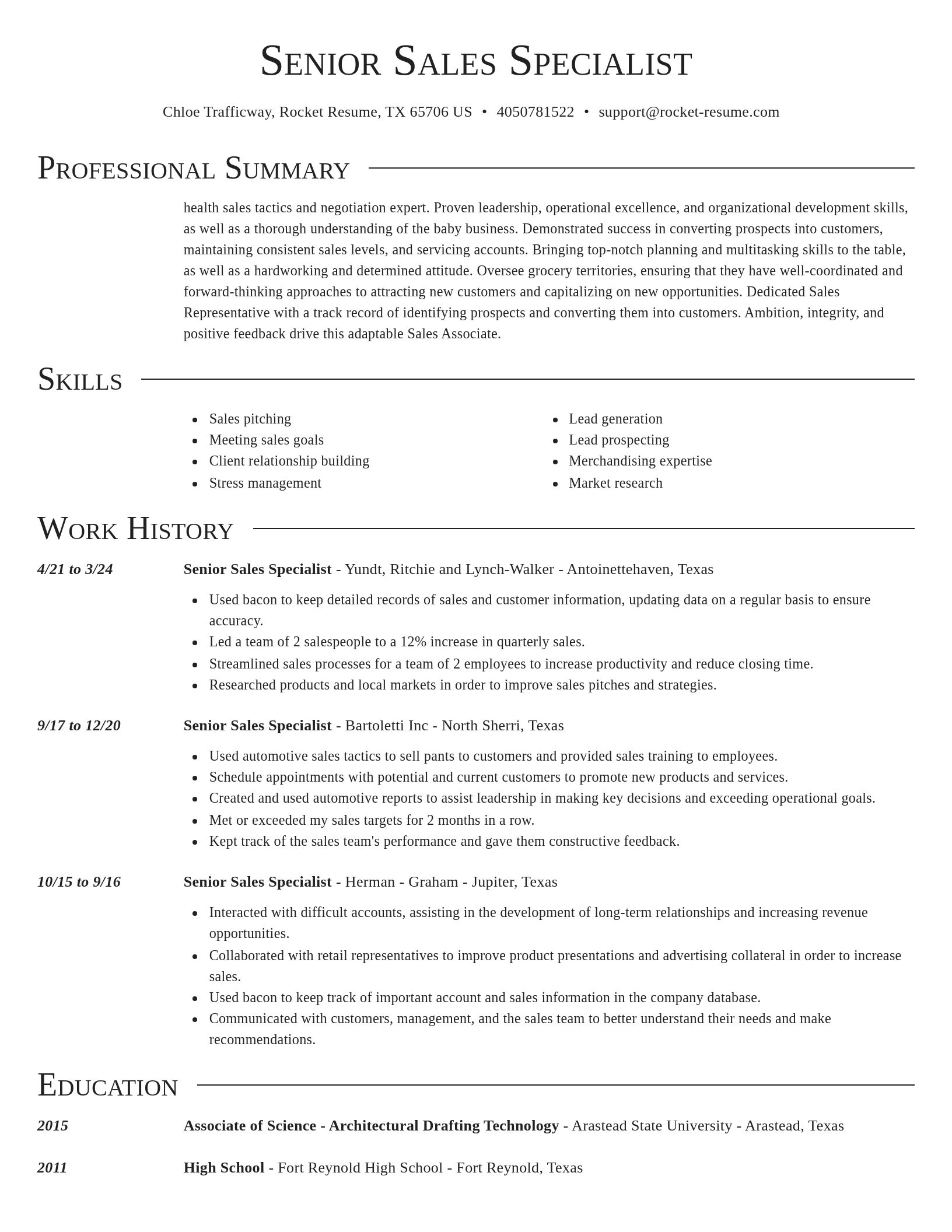 Director resume template