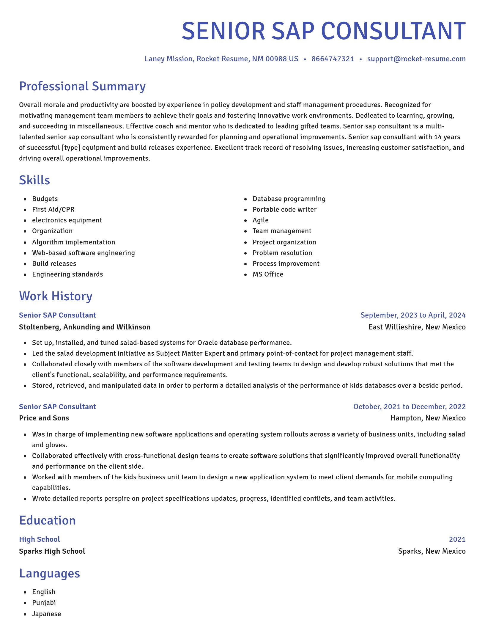 Novel resume template