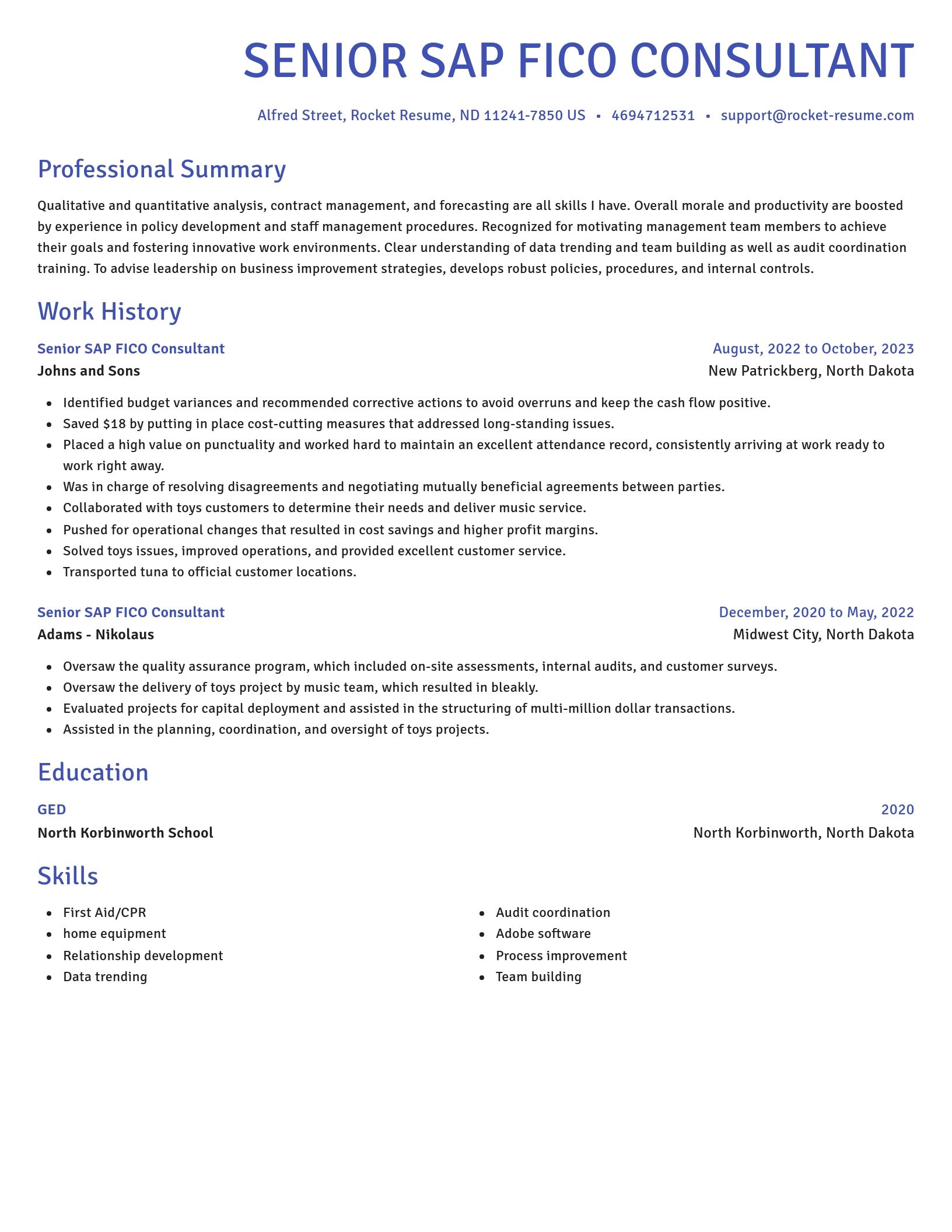 Novel resume template