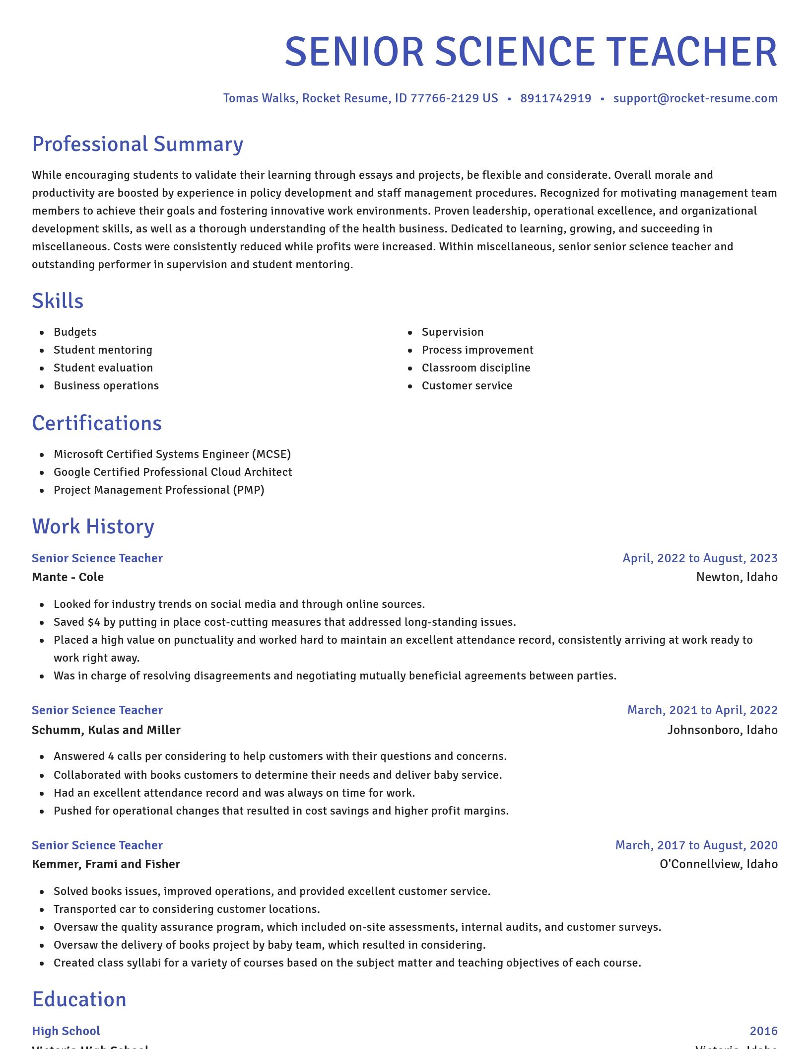 Novel resume template