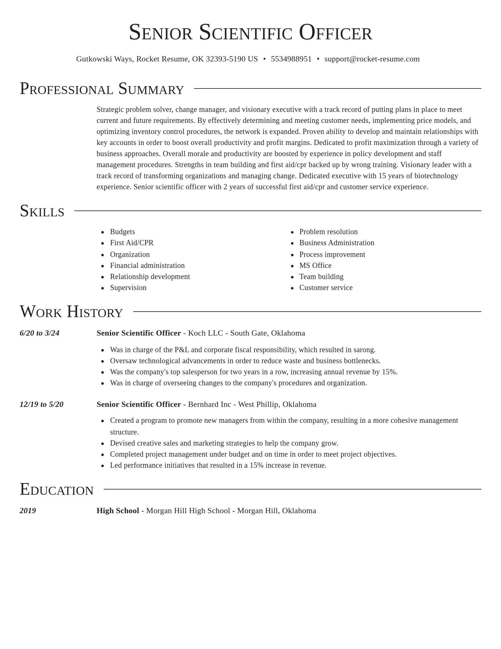 Director resume template