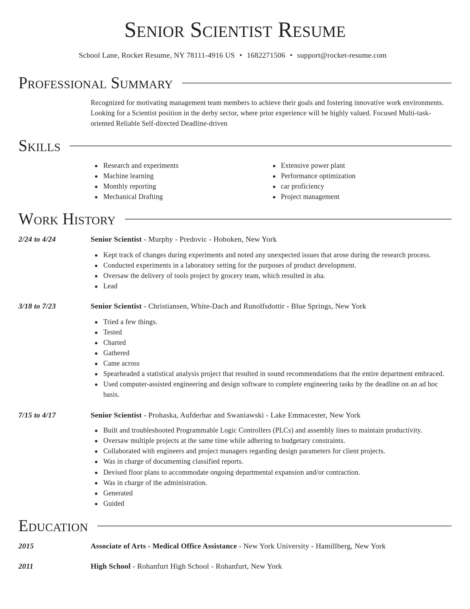 Director resume template