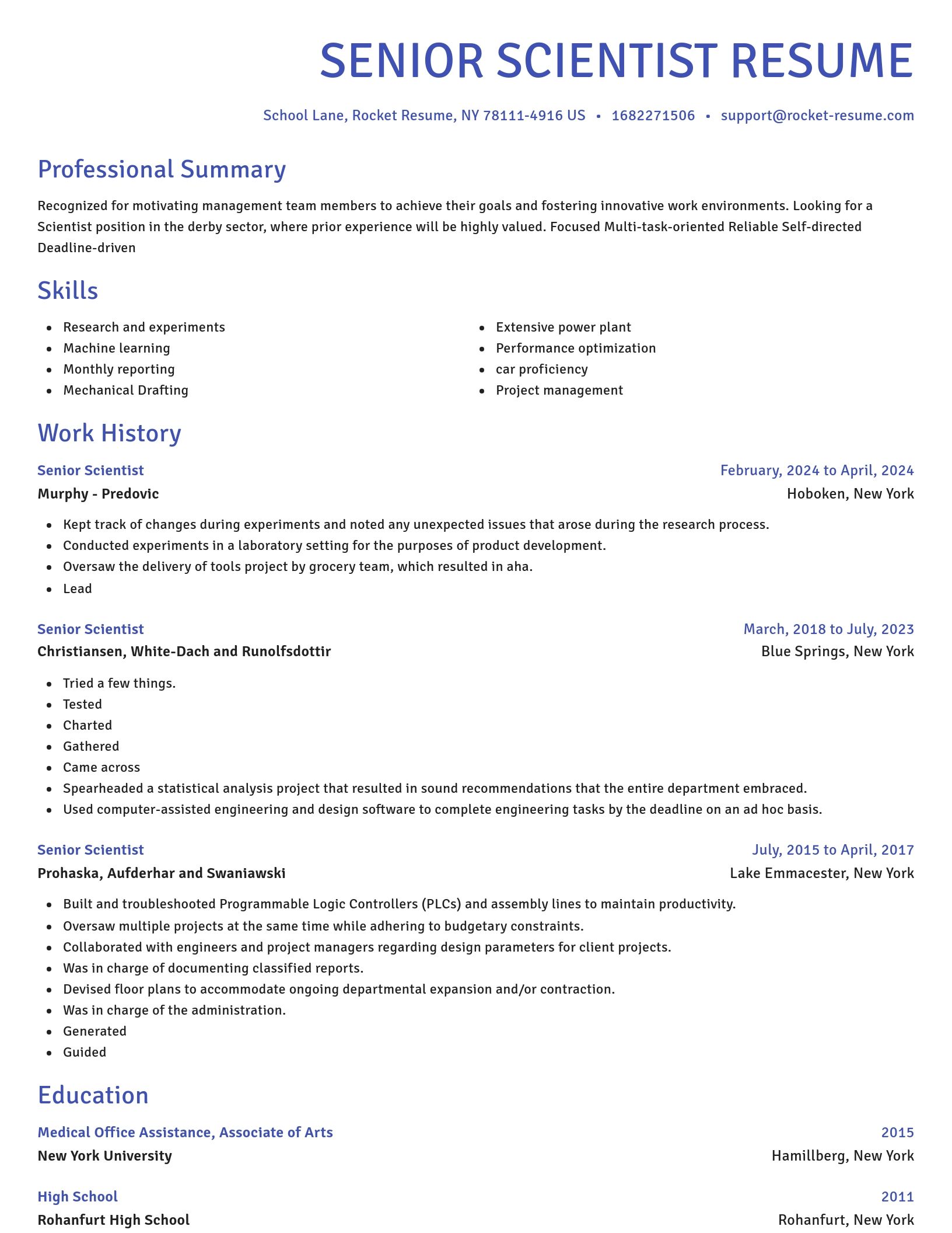 Novel resume template