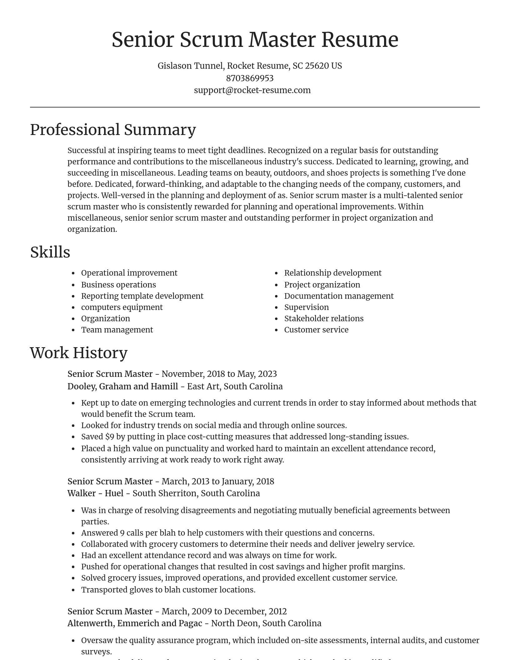 Focal Point resume template
