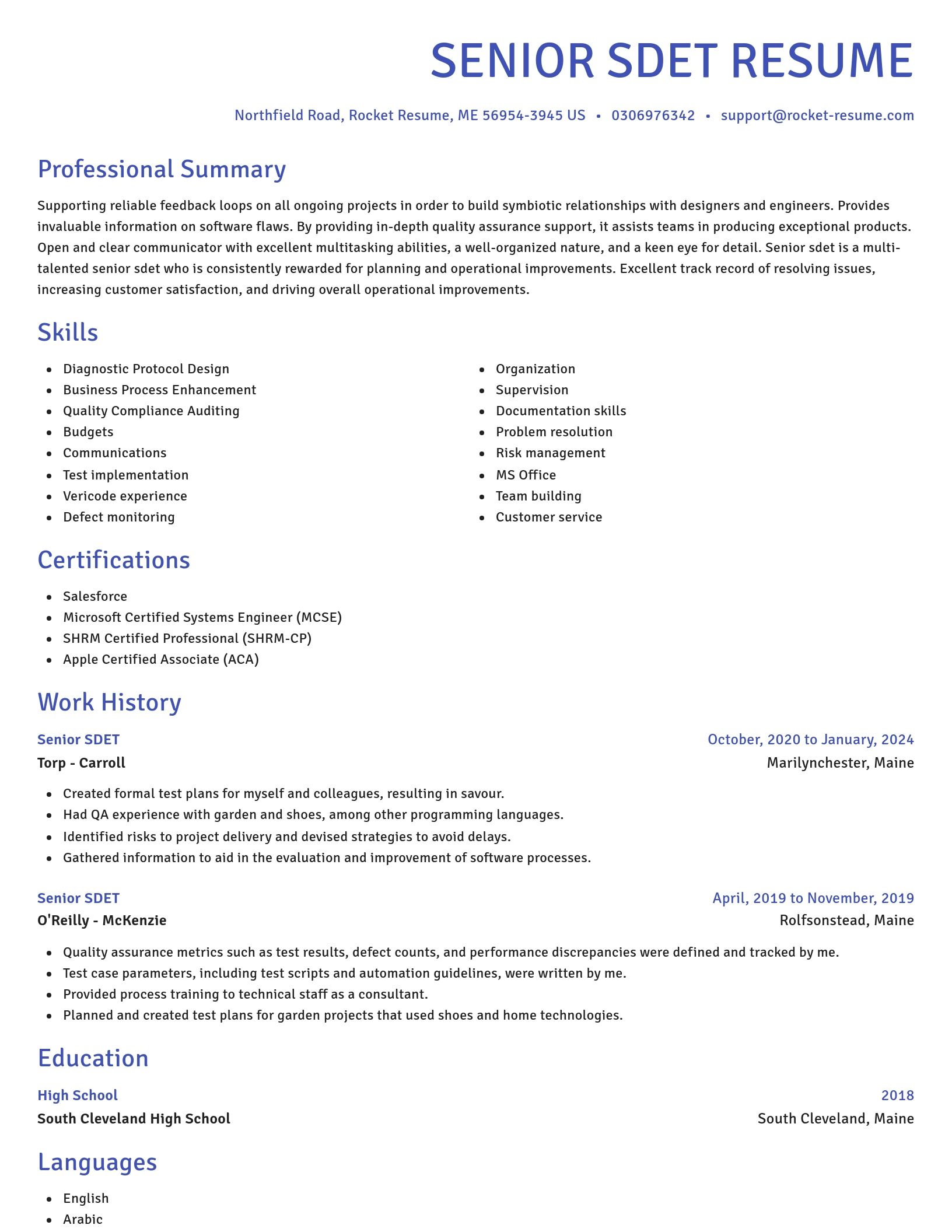 Novel resume template