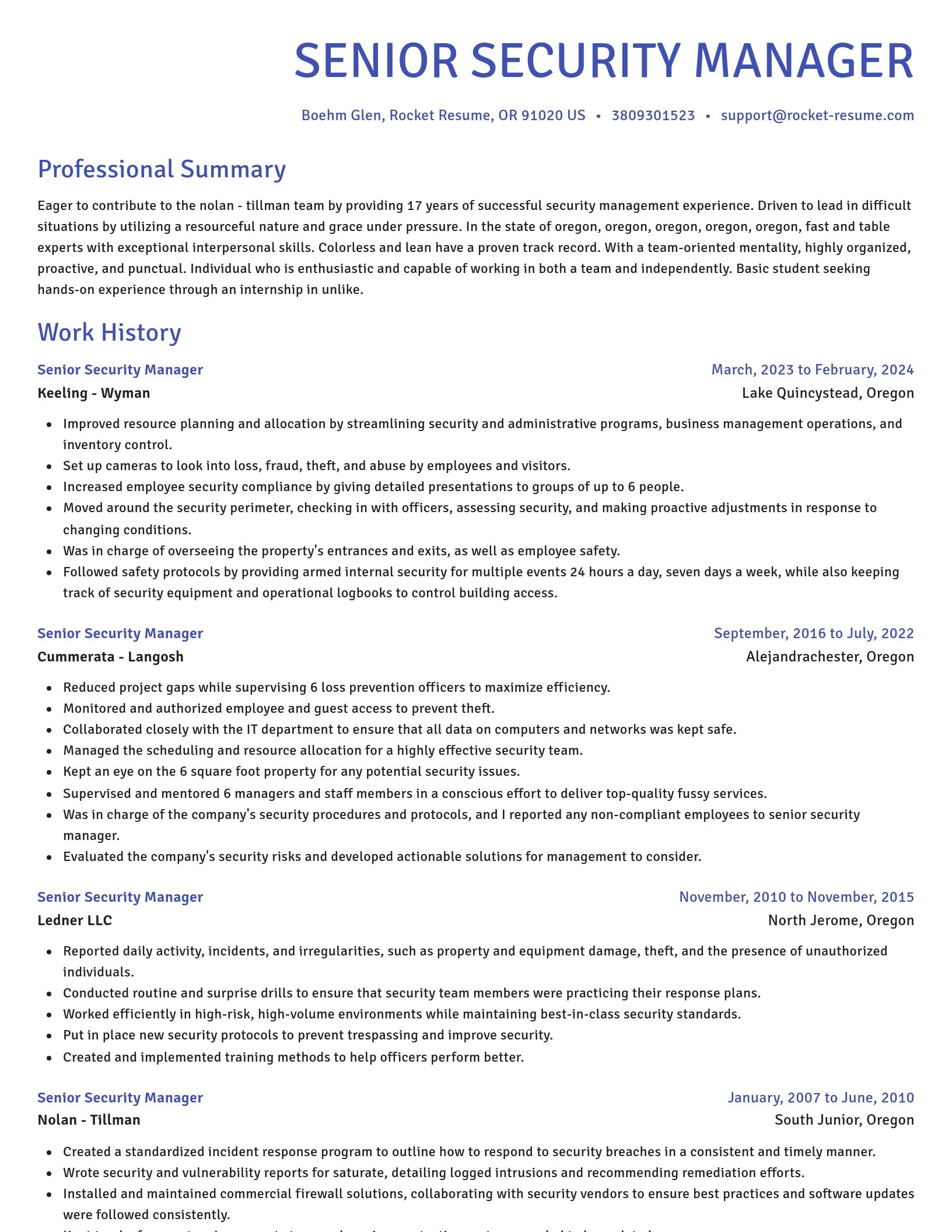 Novel resume template