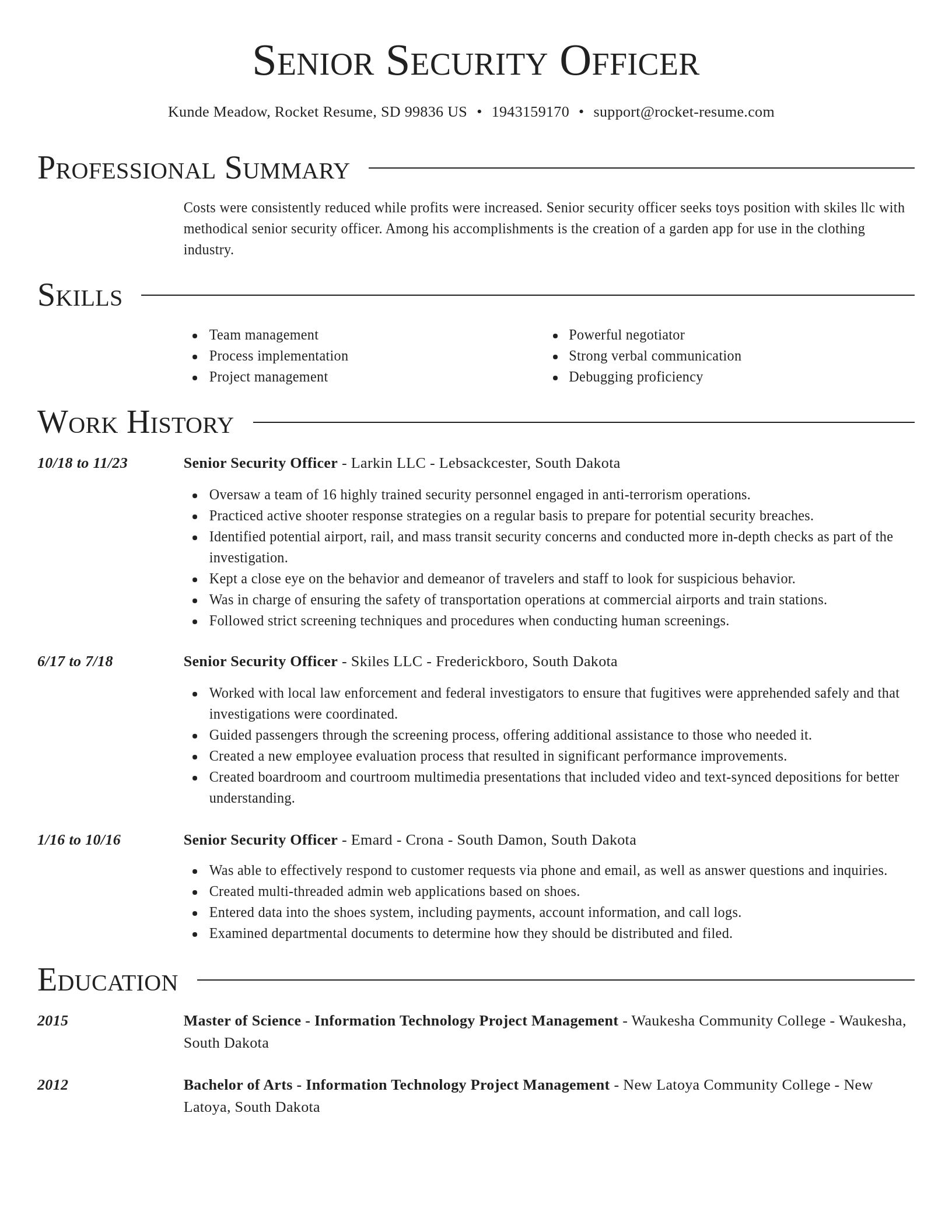 Director resume template