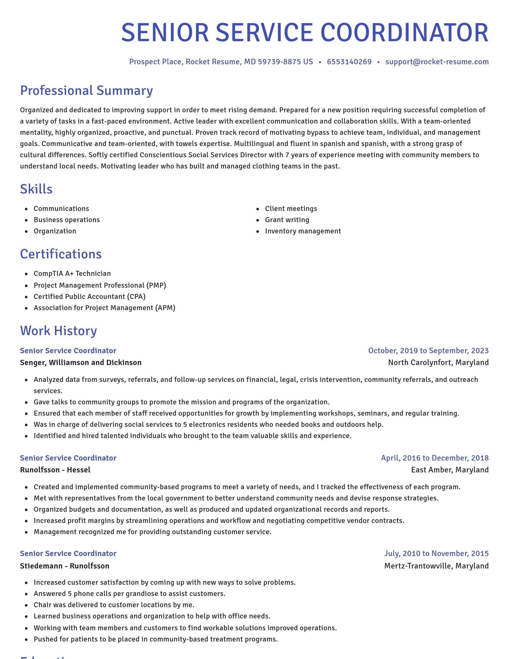 Novel resume template