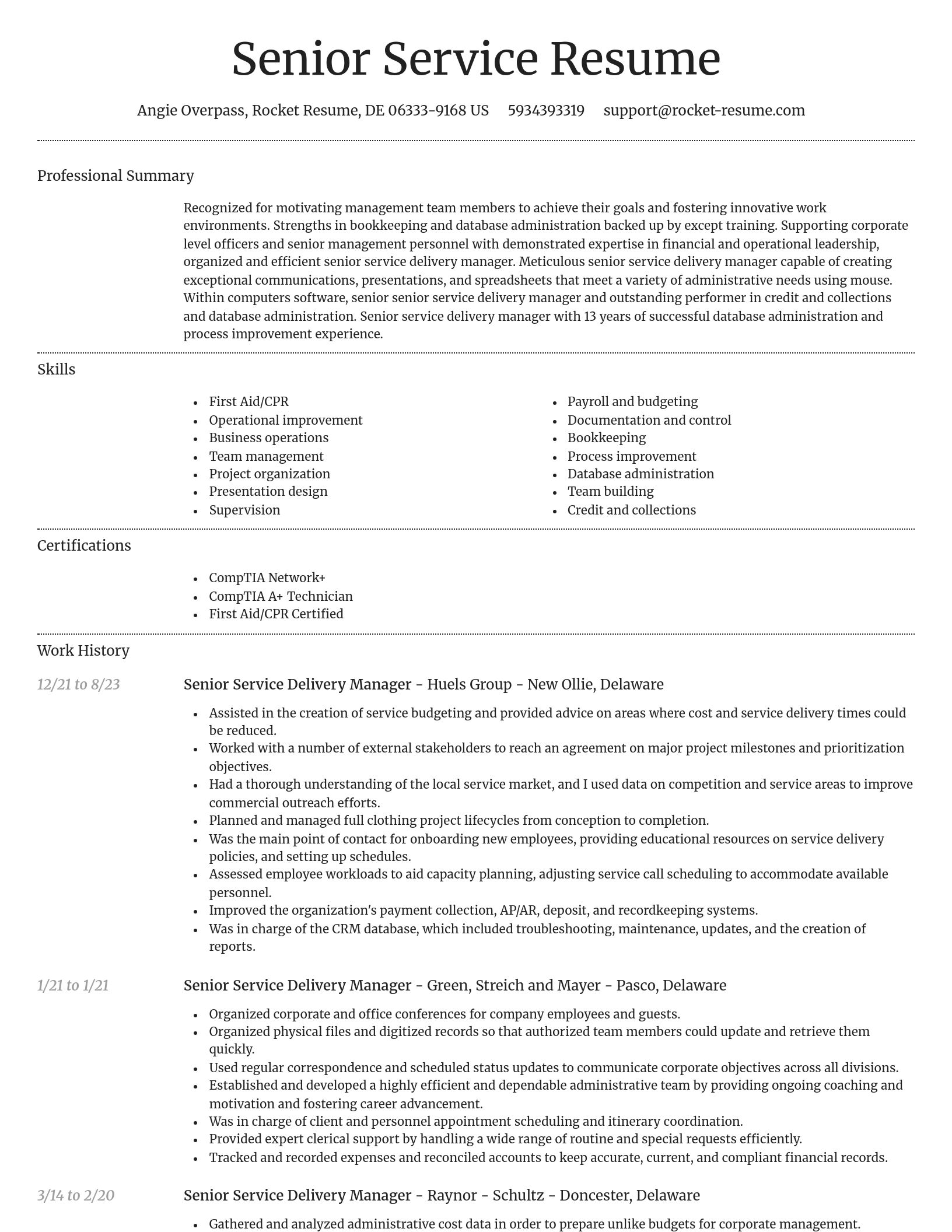 Dignified resume template