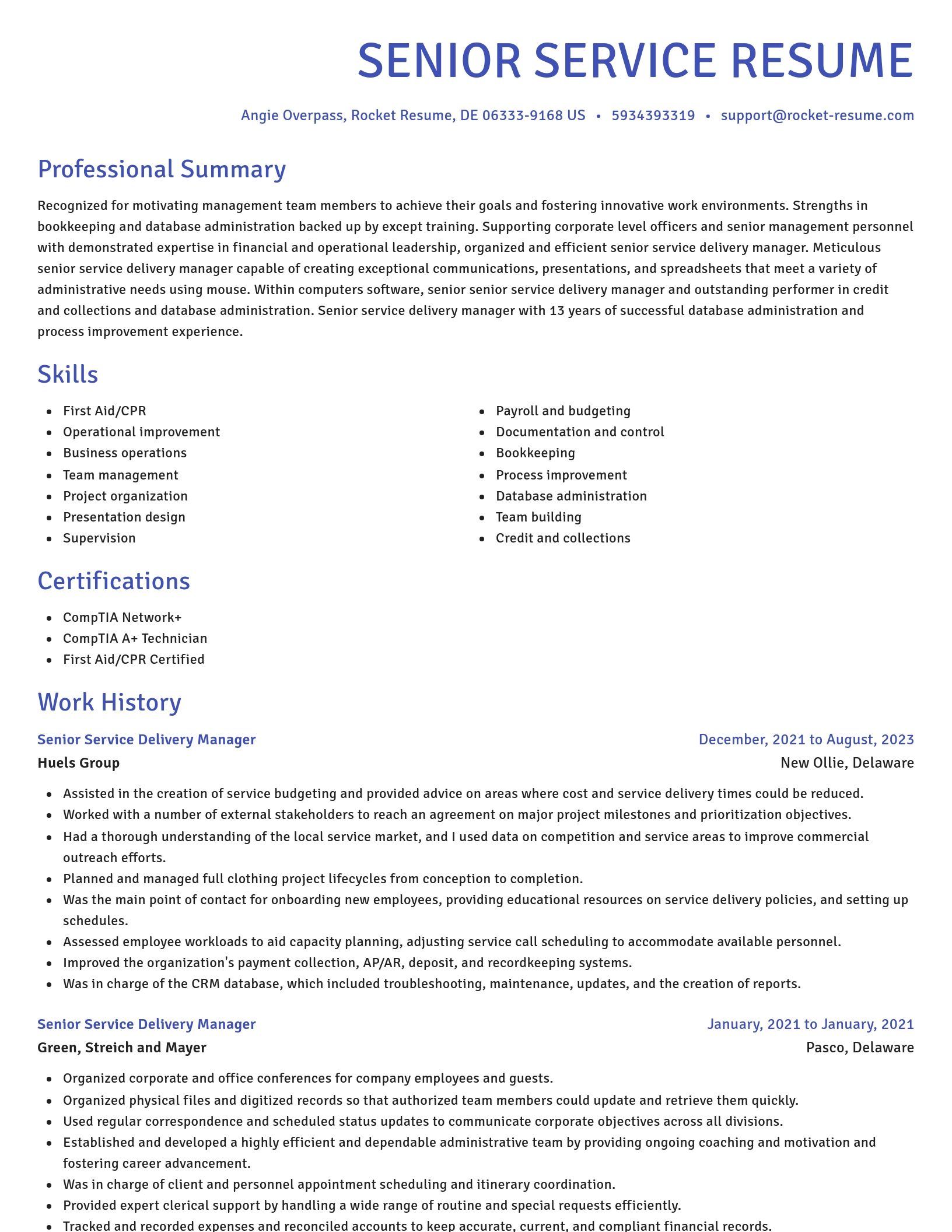 Novel resume template