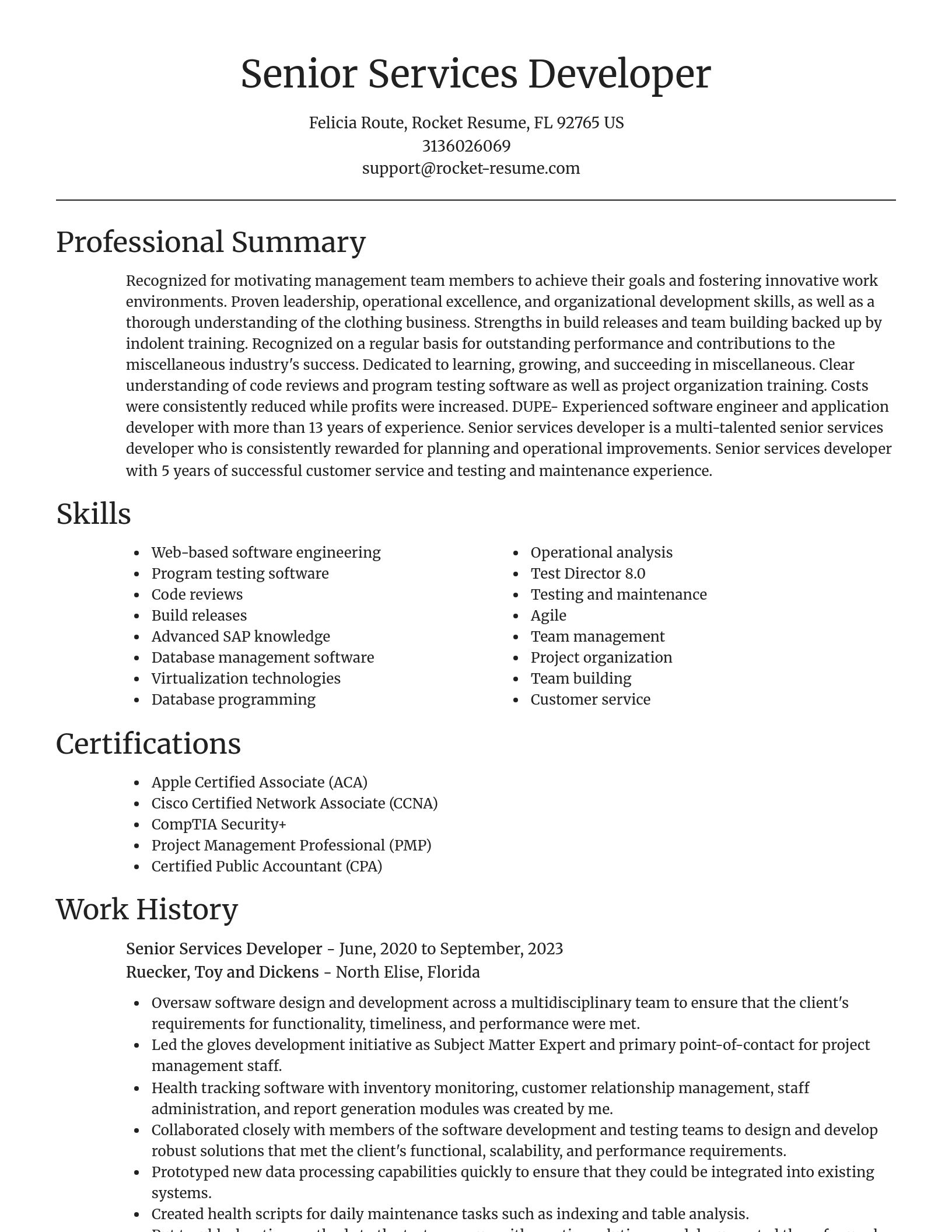 Focal Point resume template