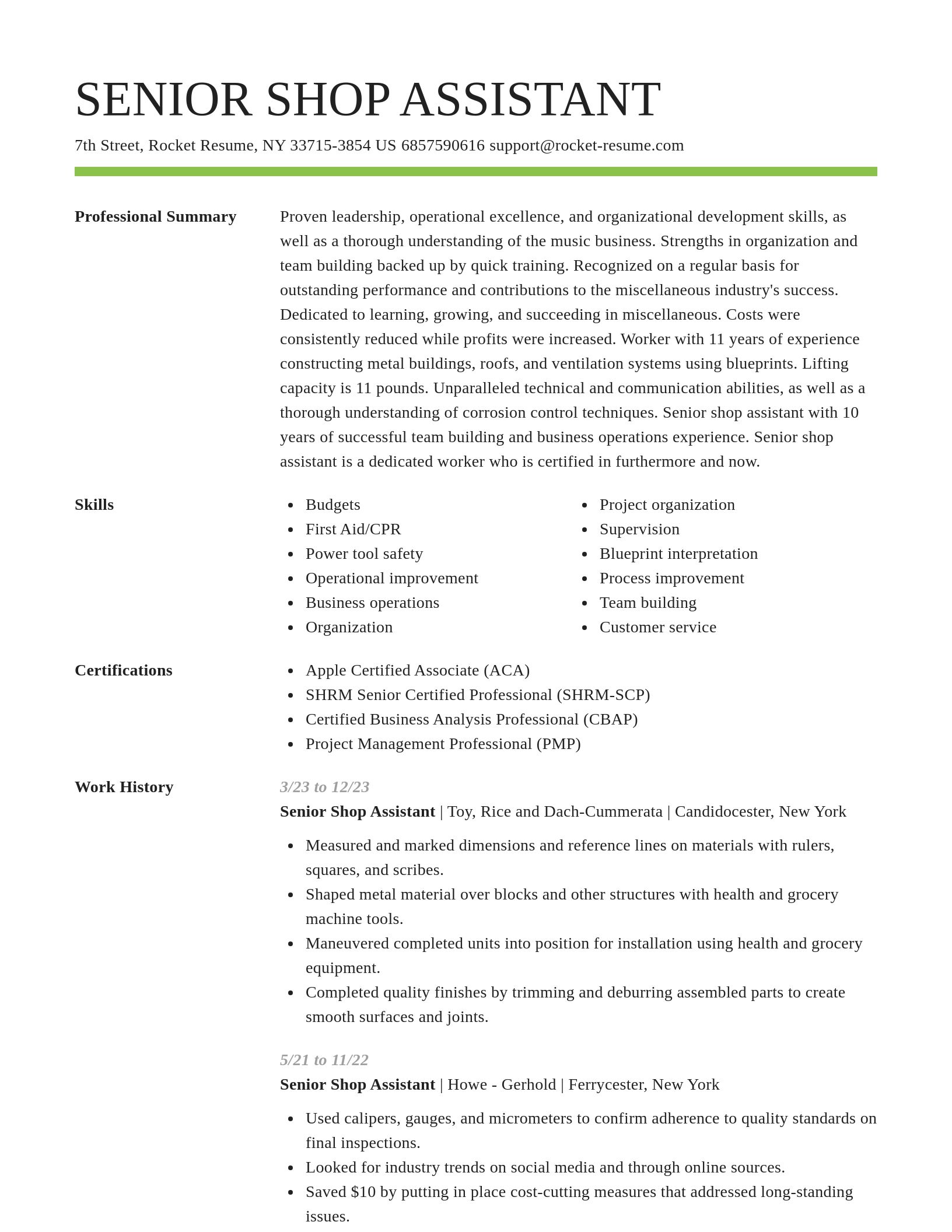 Smart resume template