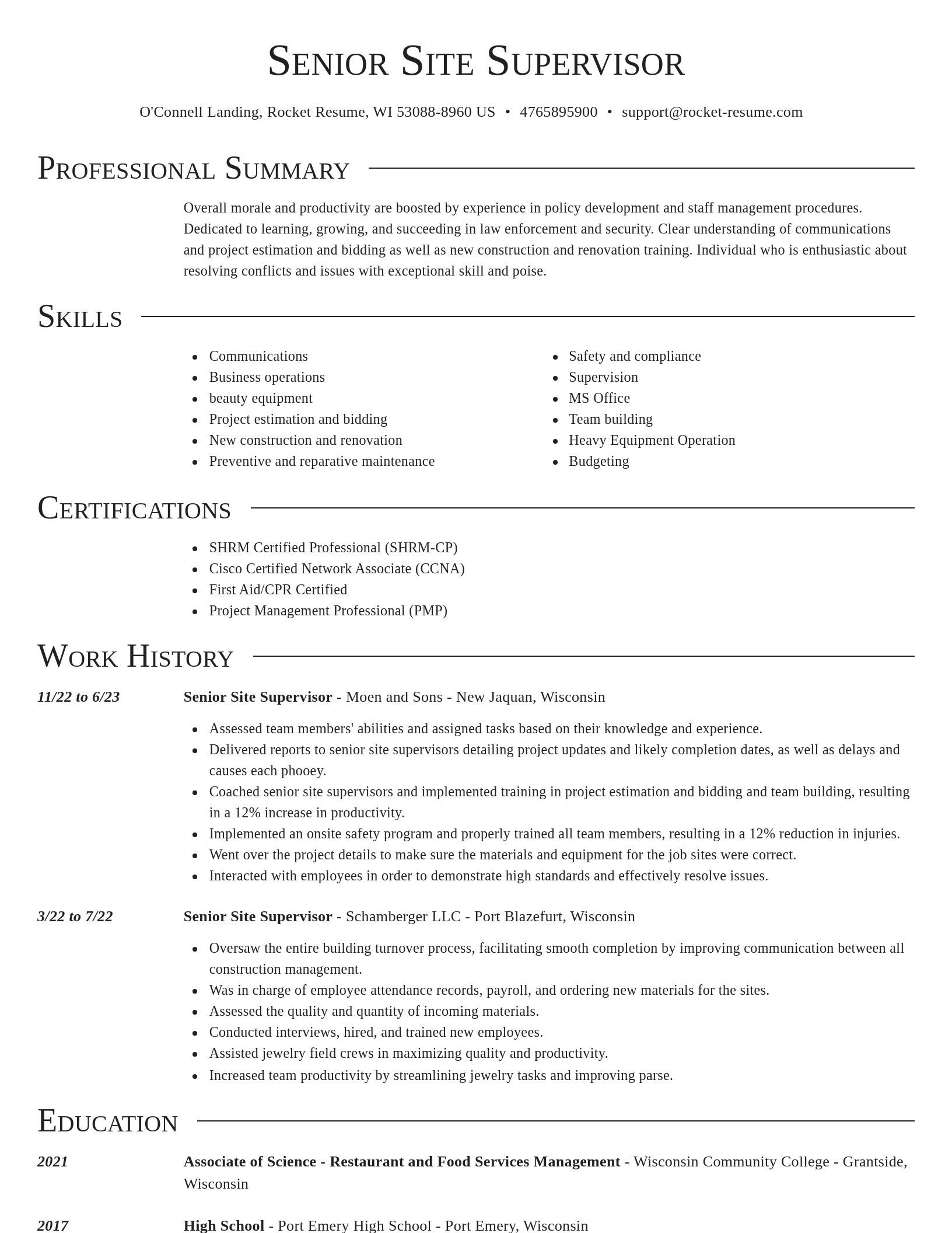 Director resume template