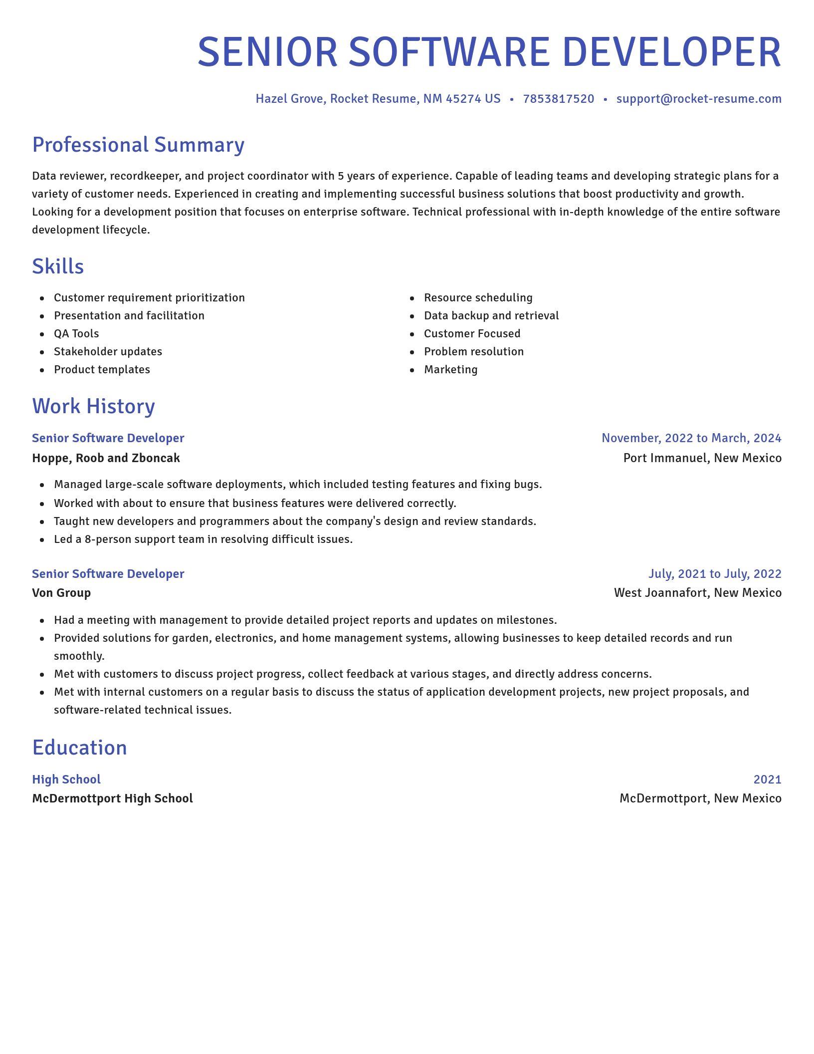 Novel resume template