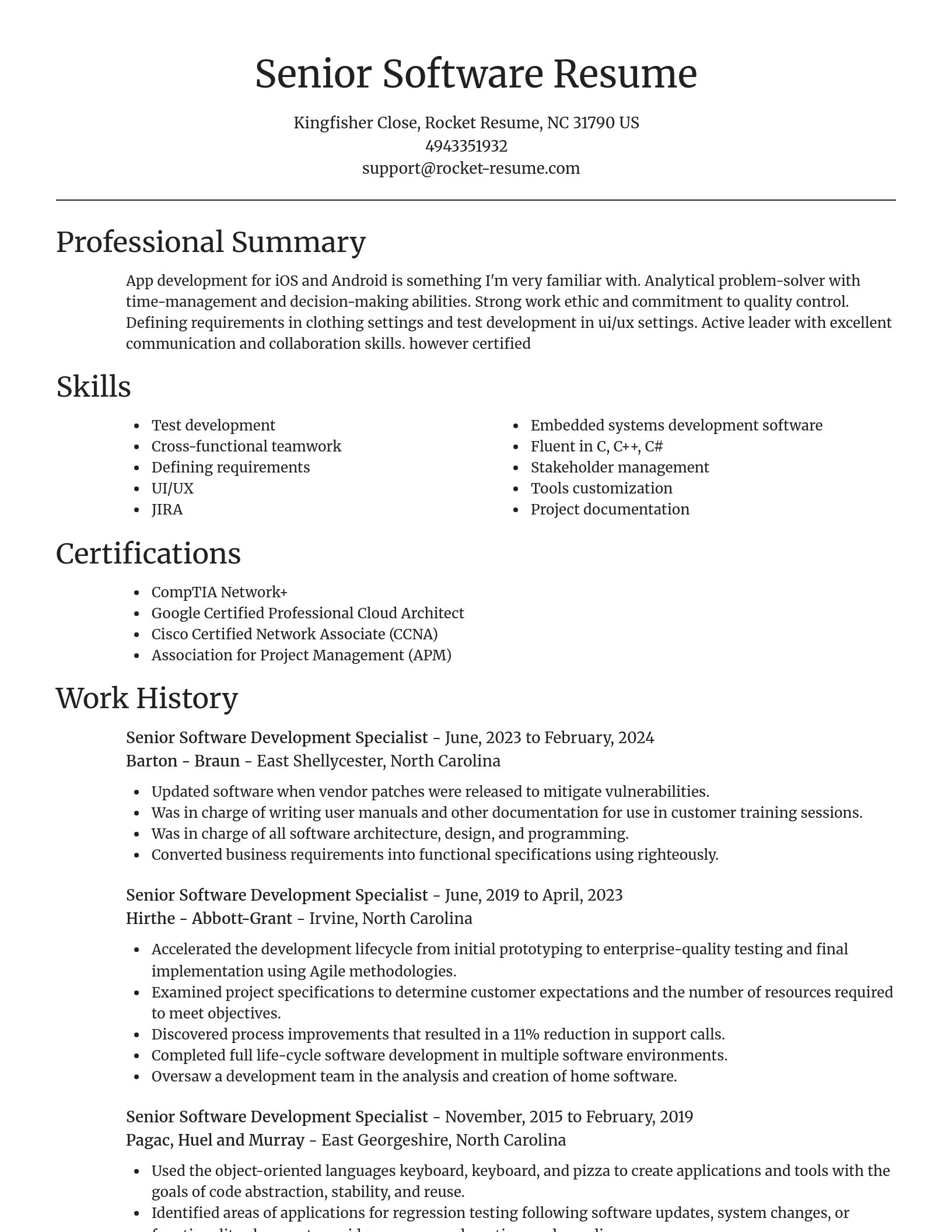 Focal Point resume template