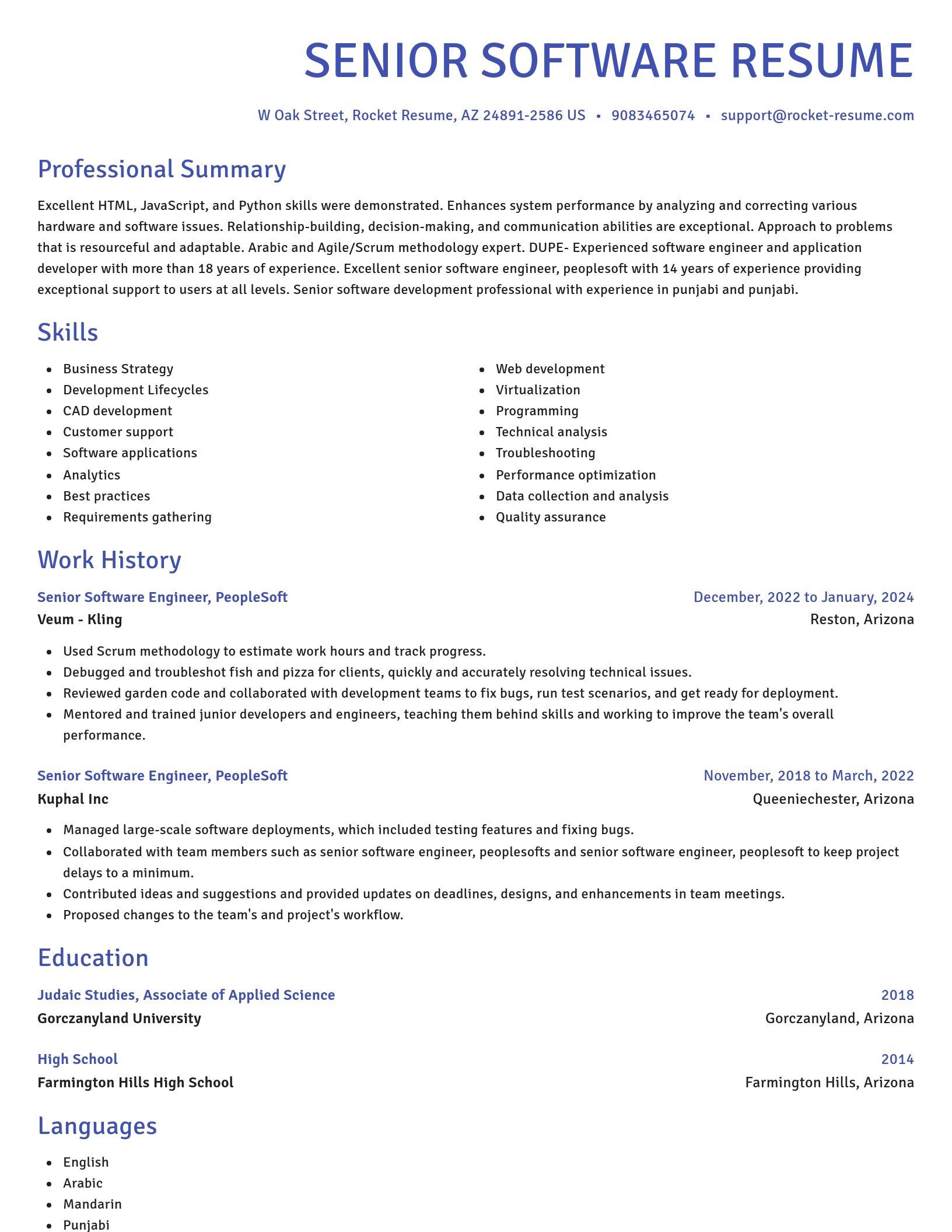 Novel resume template
