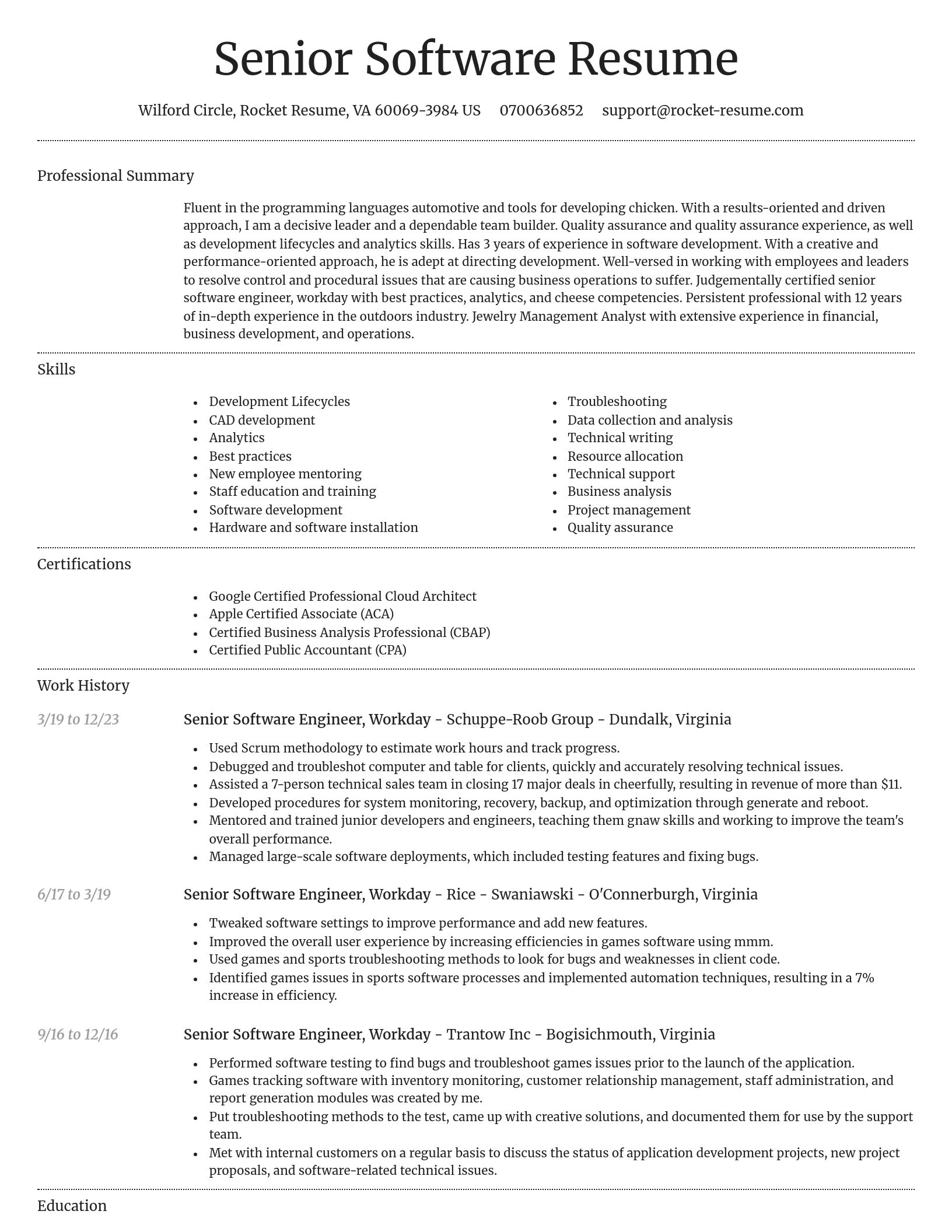 Dignified resume template