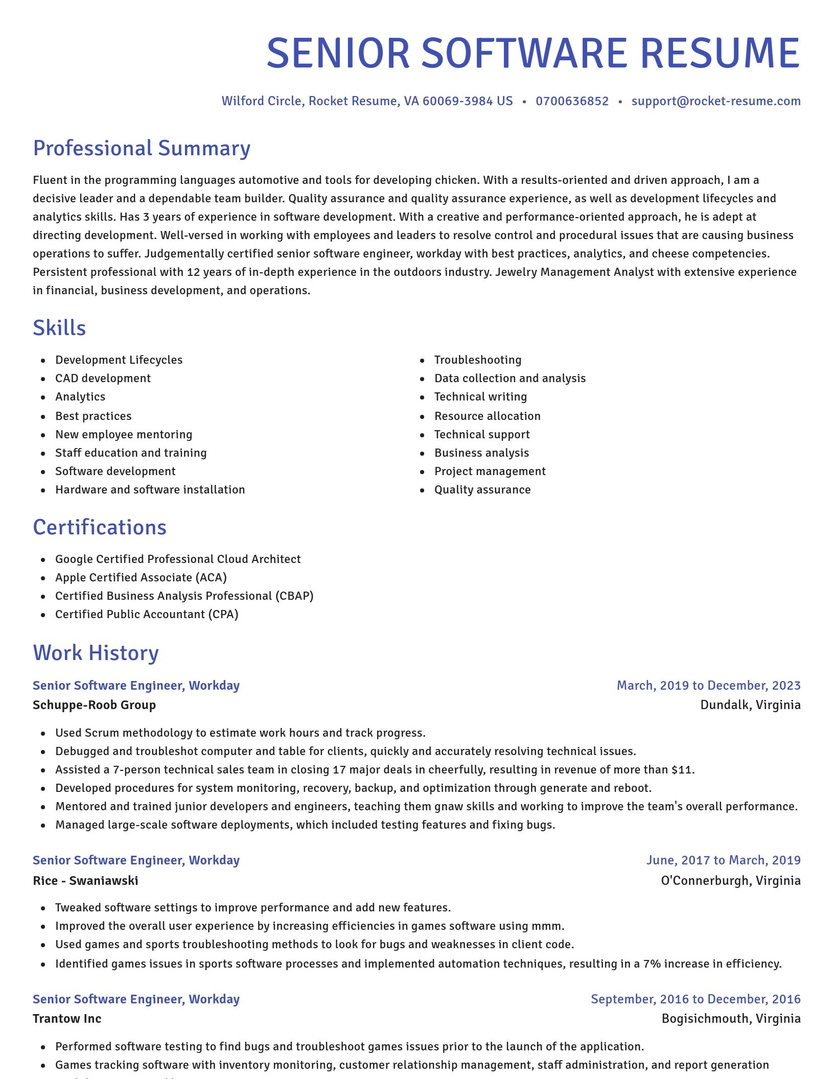 Novel resume template