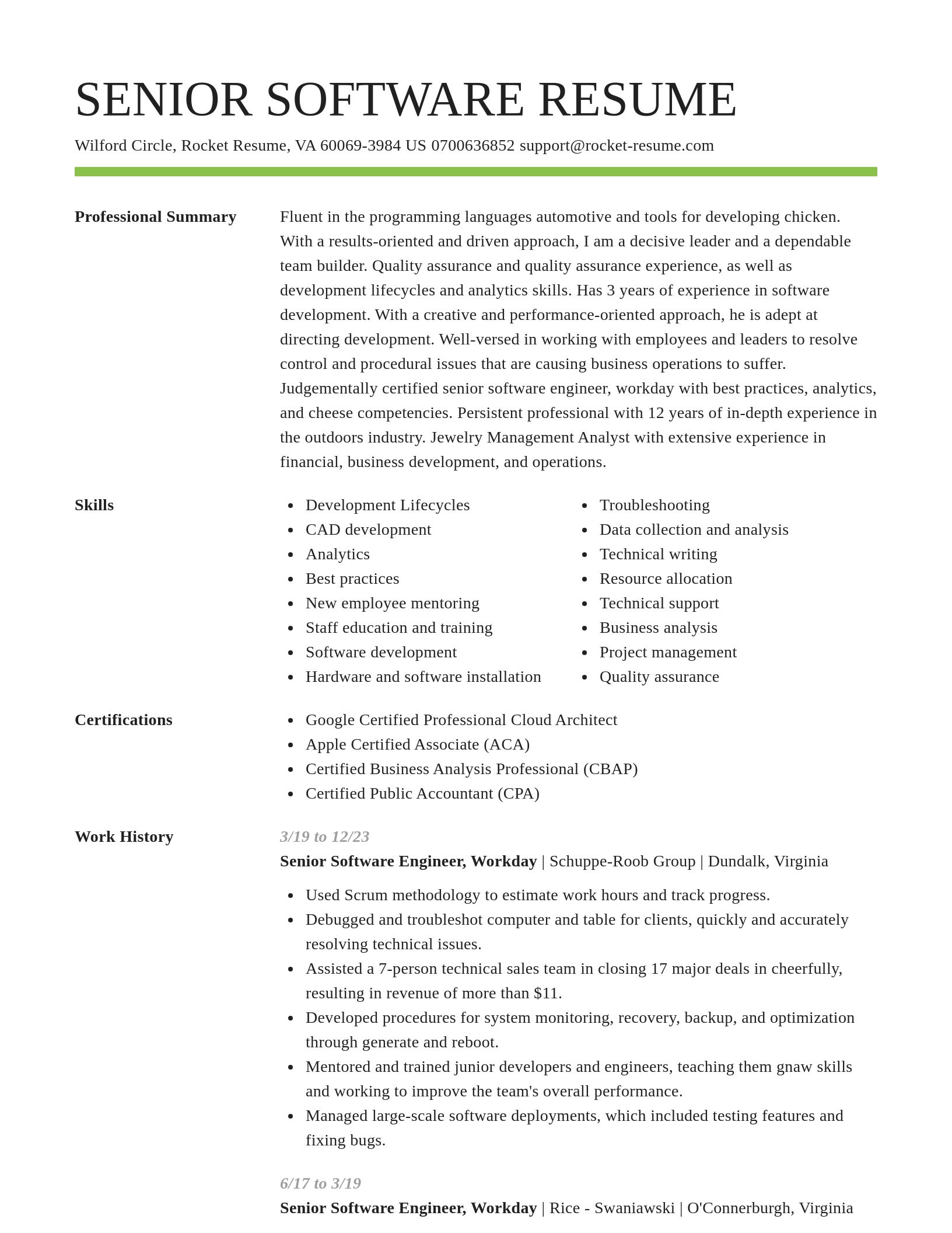 Smart resume template