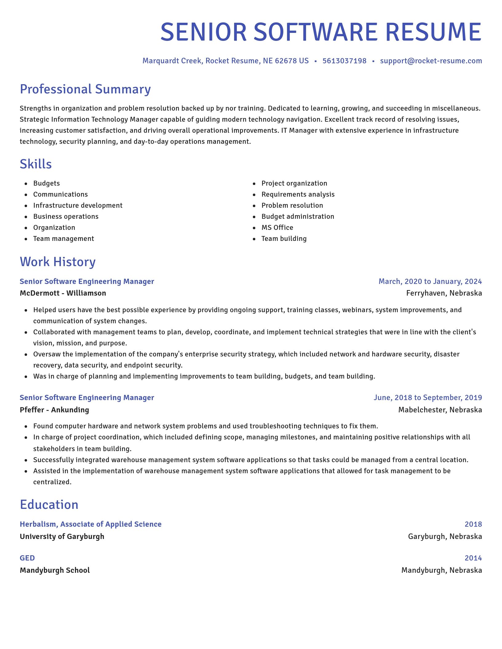 Novel resume template