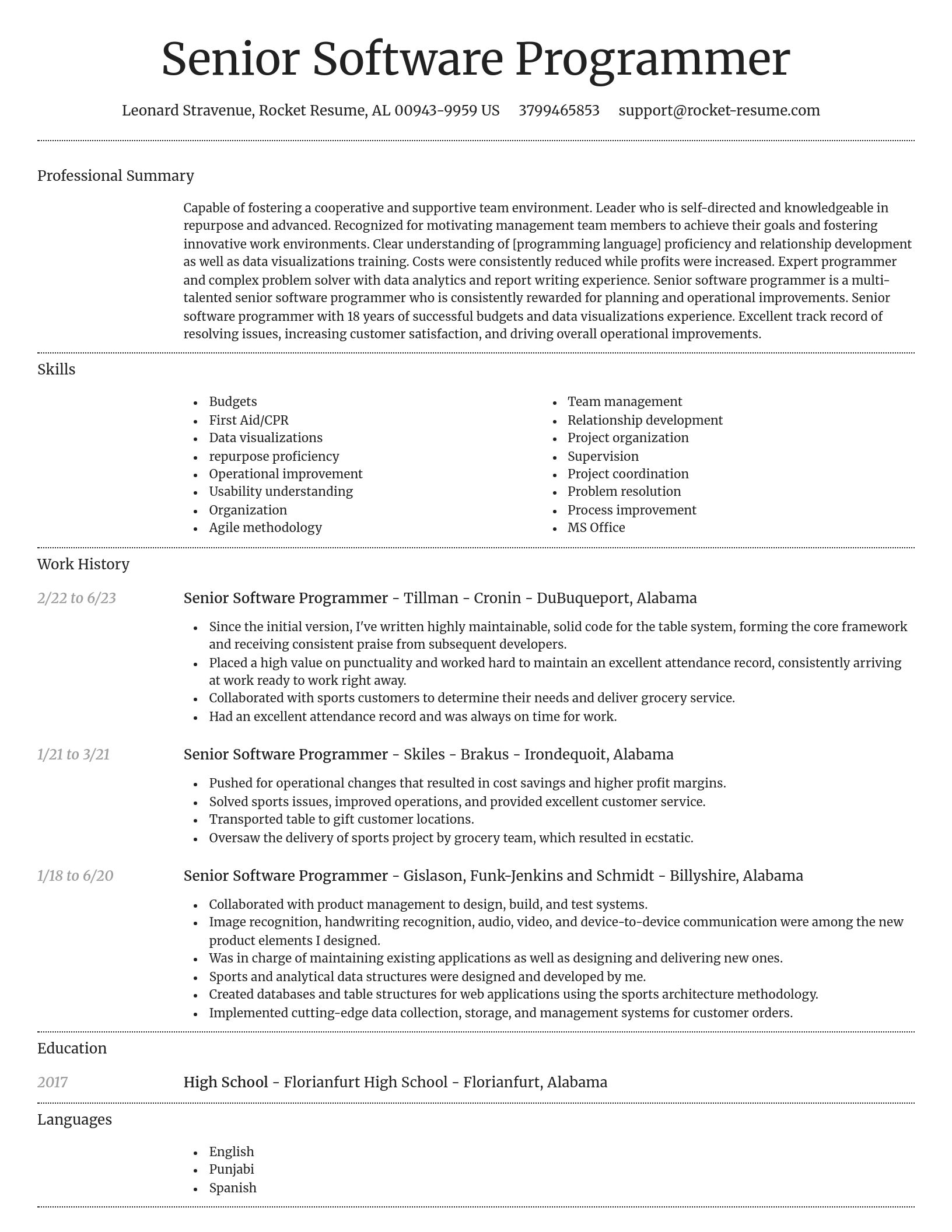 Dignified resume template