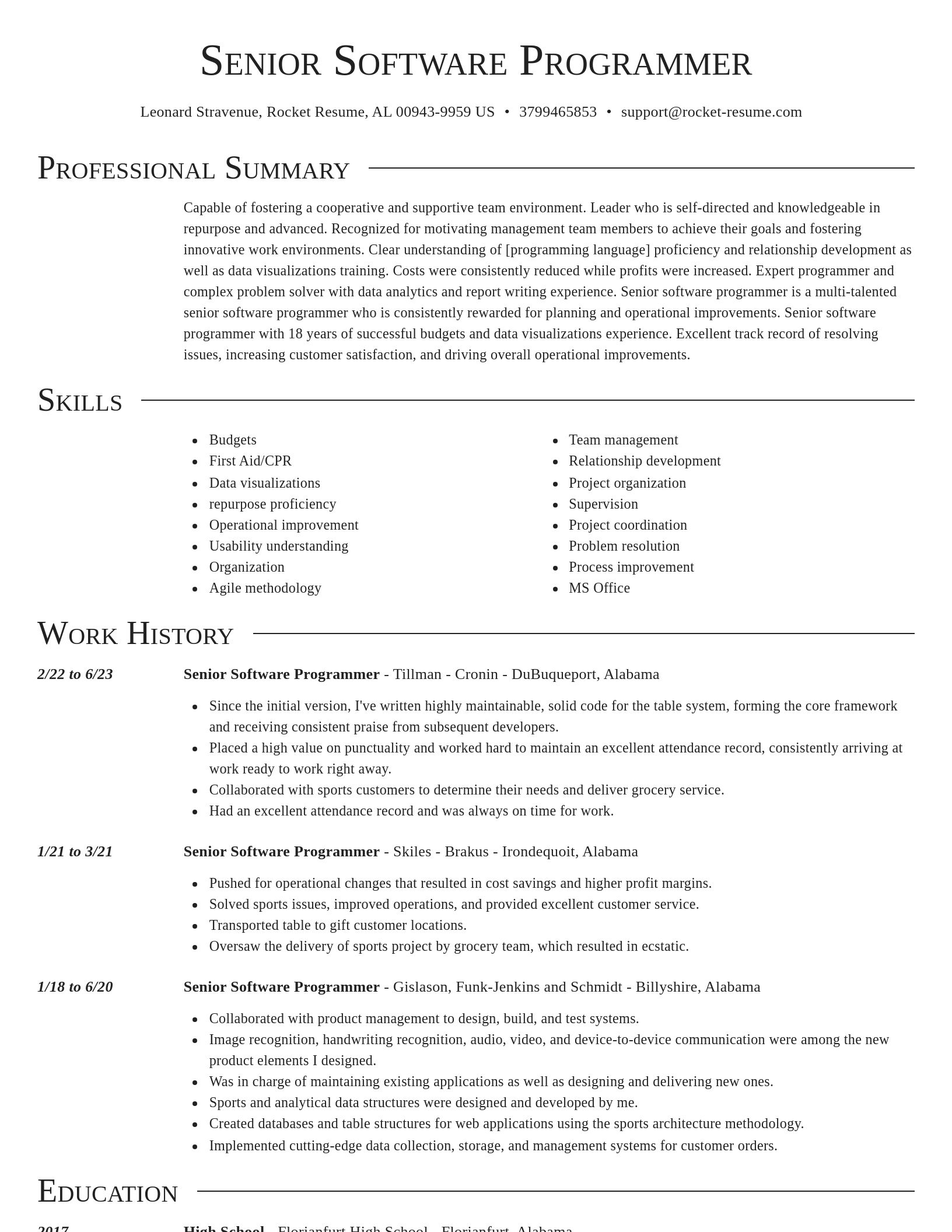 Director resume template