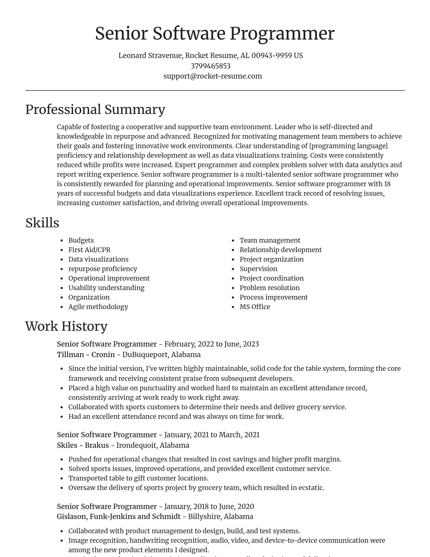 Focal Point resume template