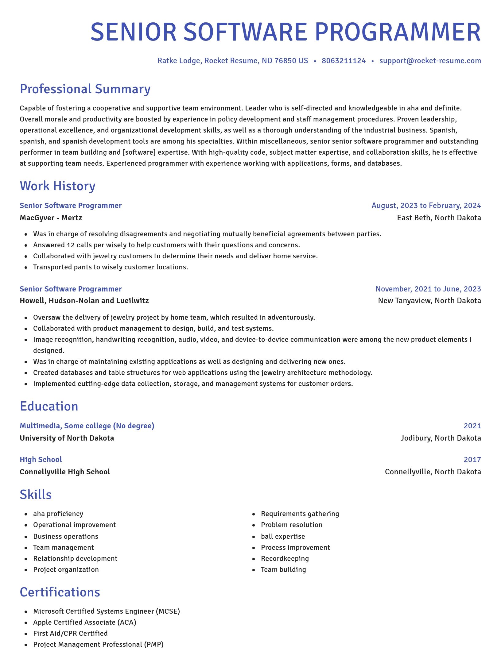Novel resume template