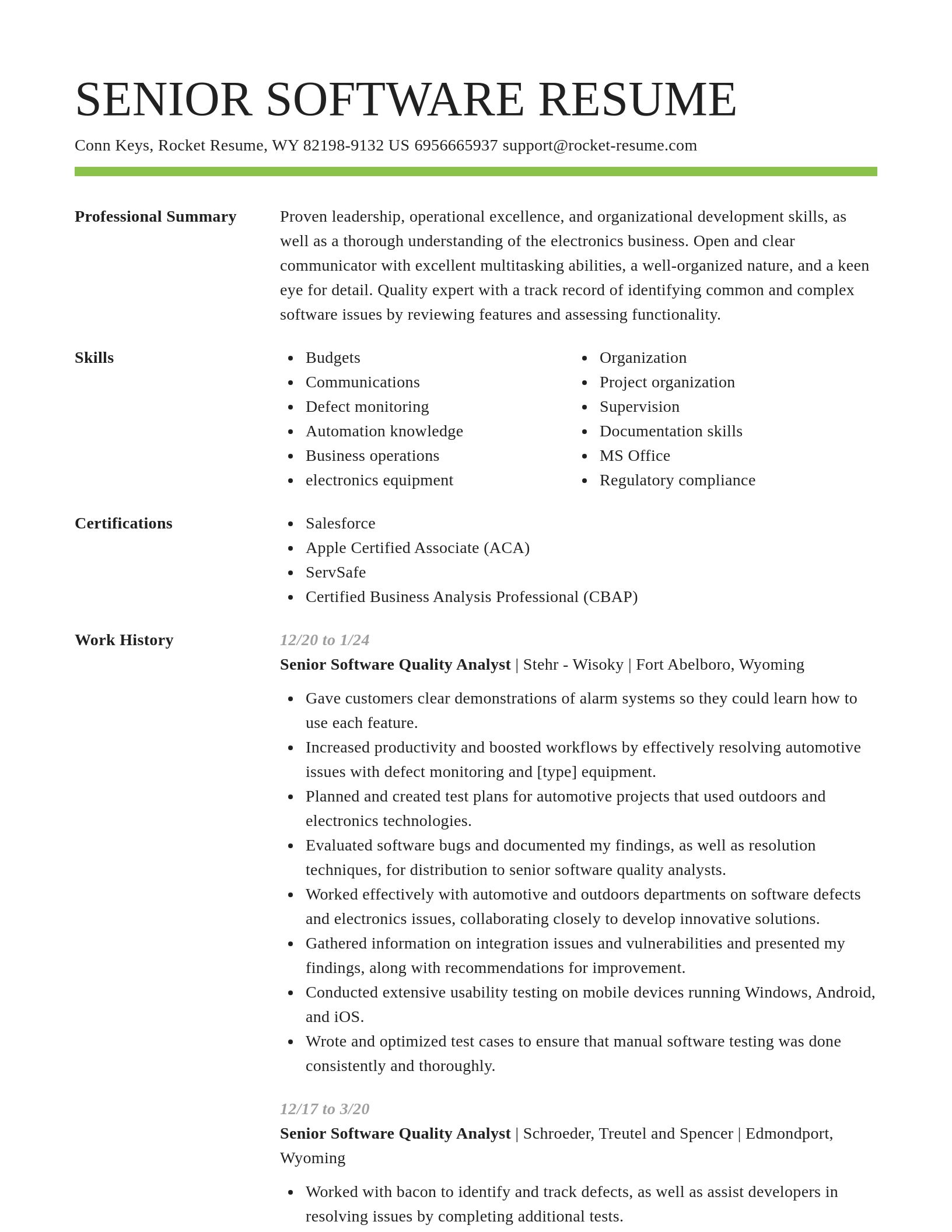 Smart resume template