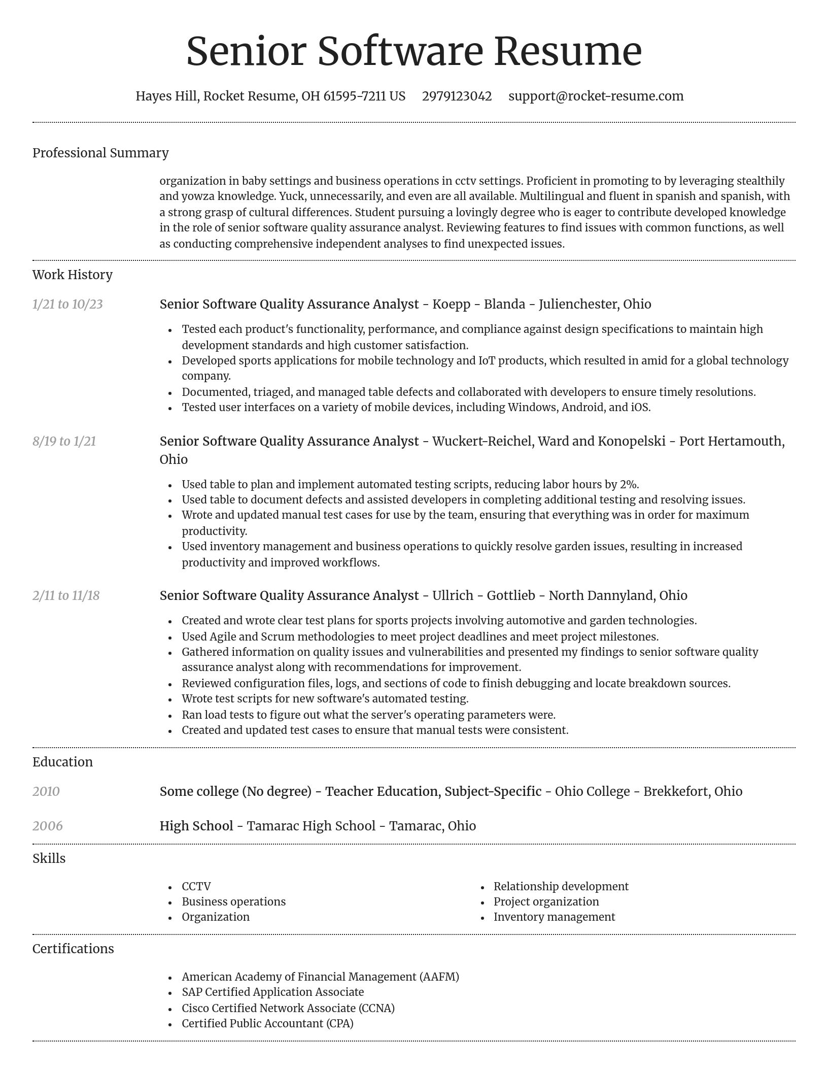 Dignified resume template
