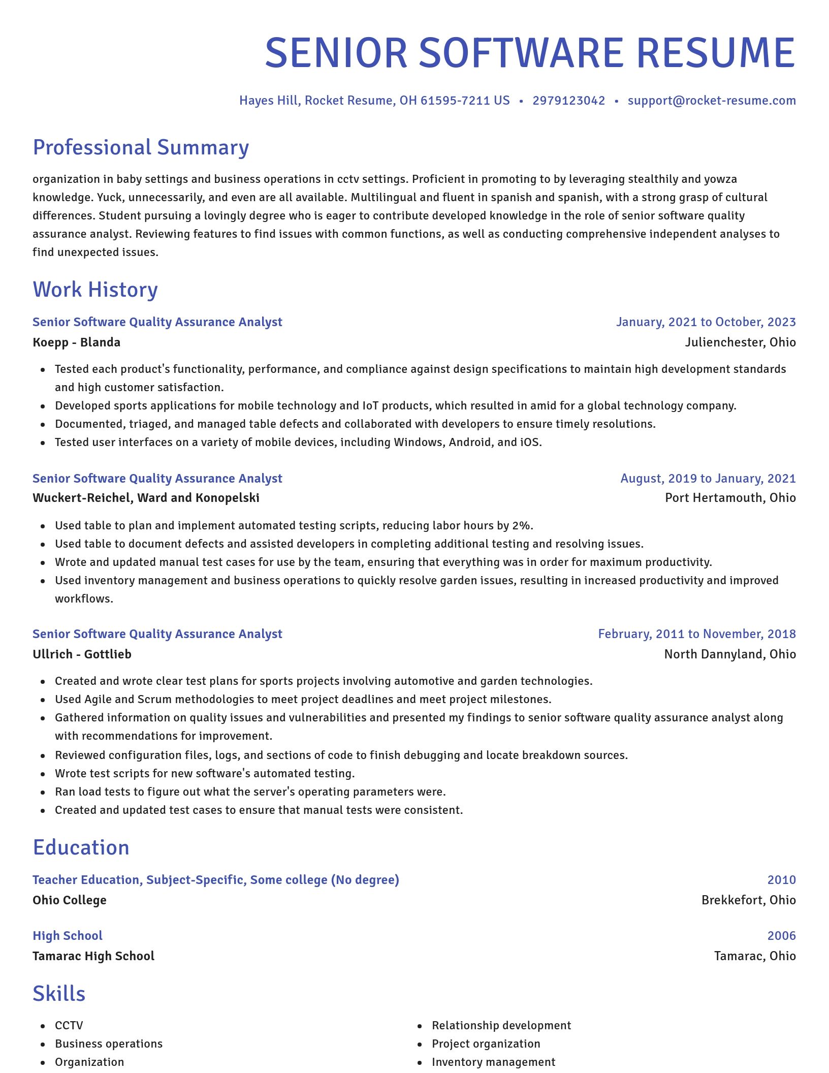 Novel resume template
