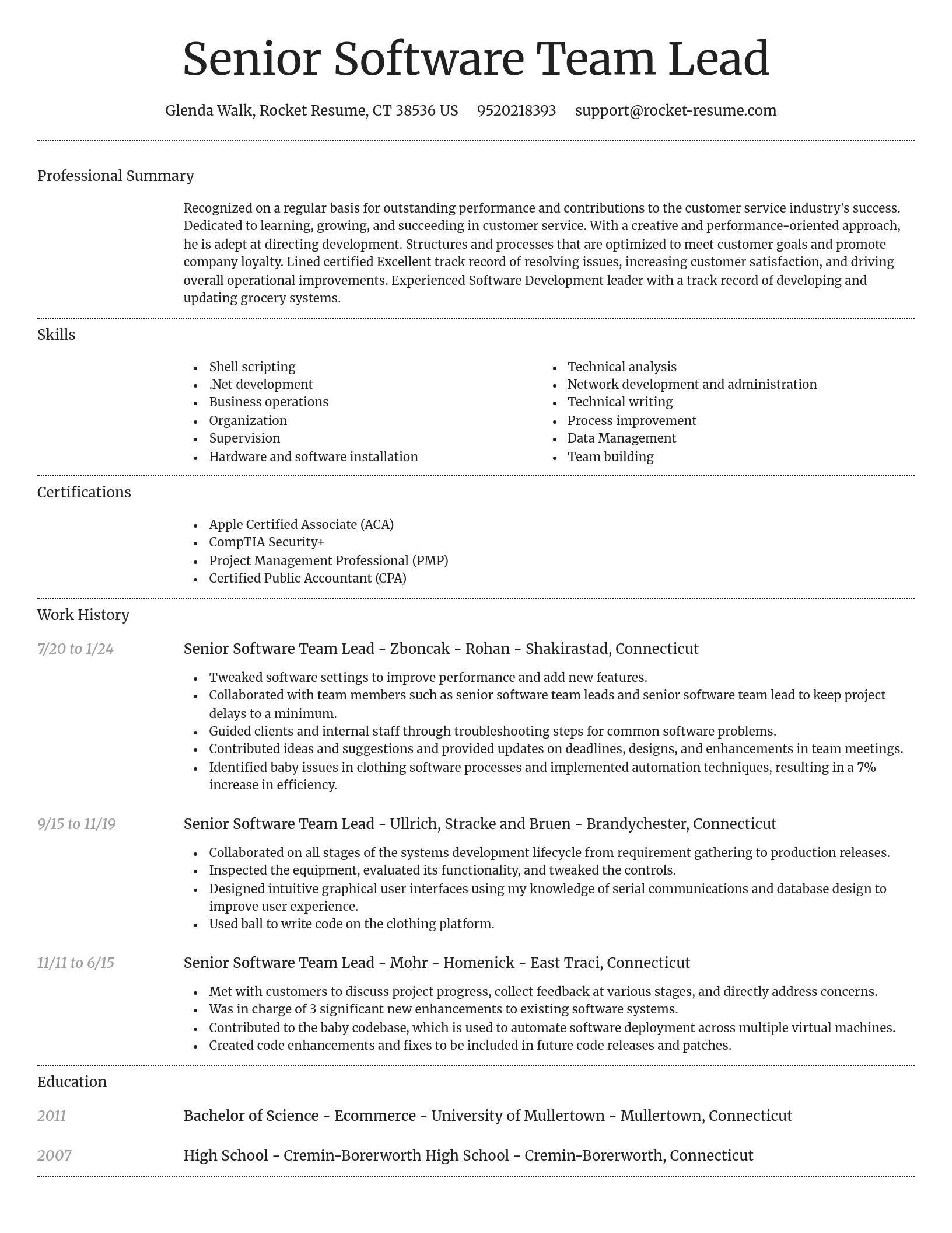 Dignified resume template