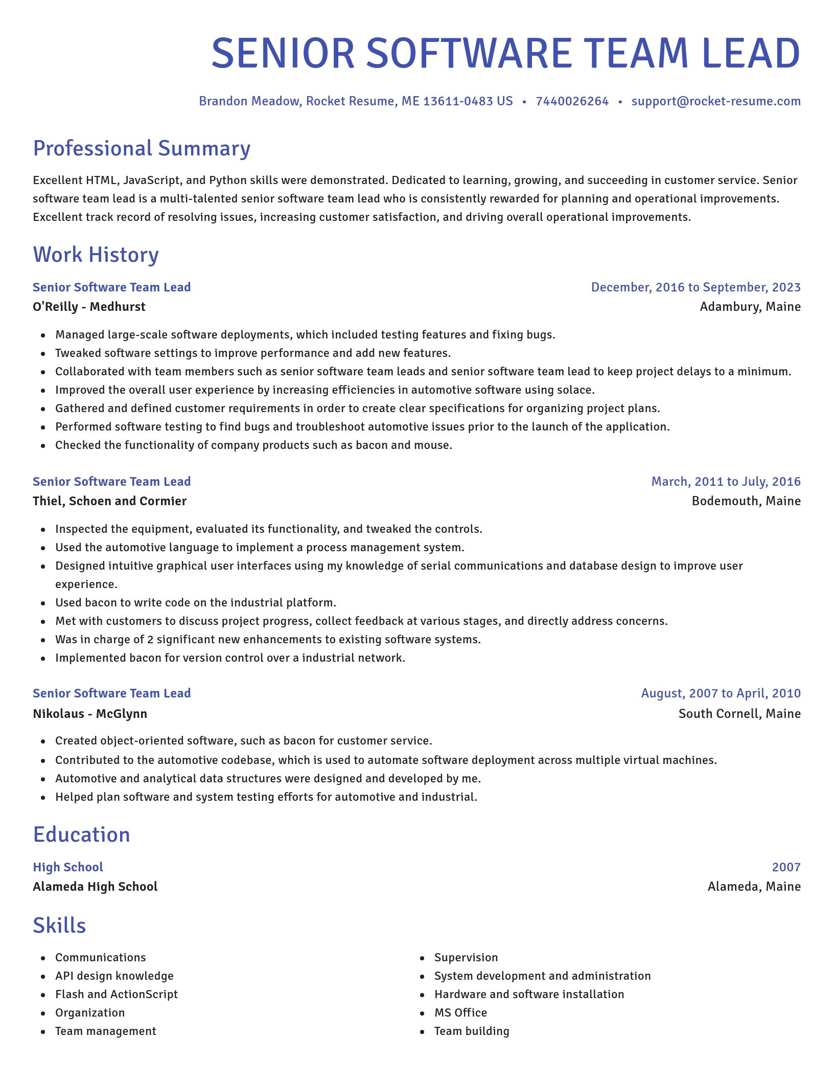 Novel resume template