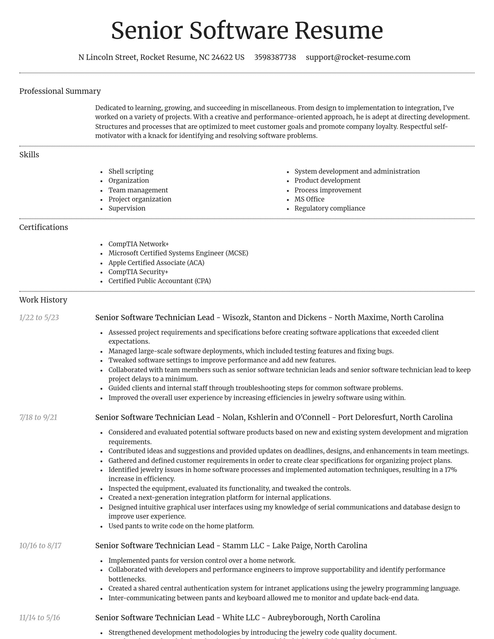Dignified resume template