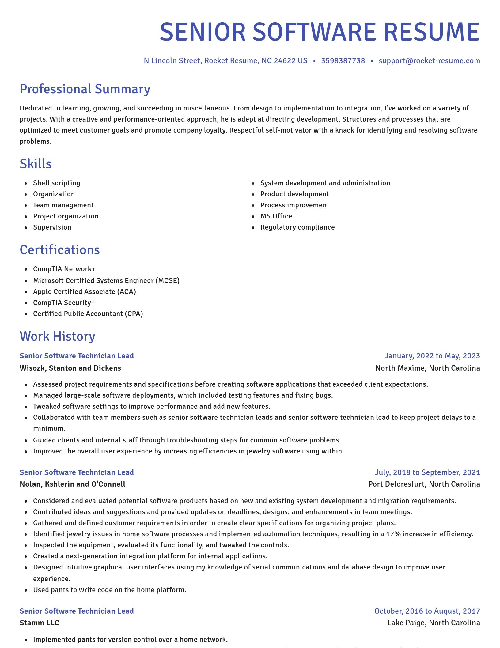 Novel resume template