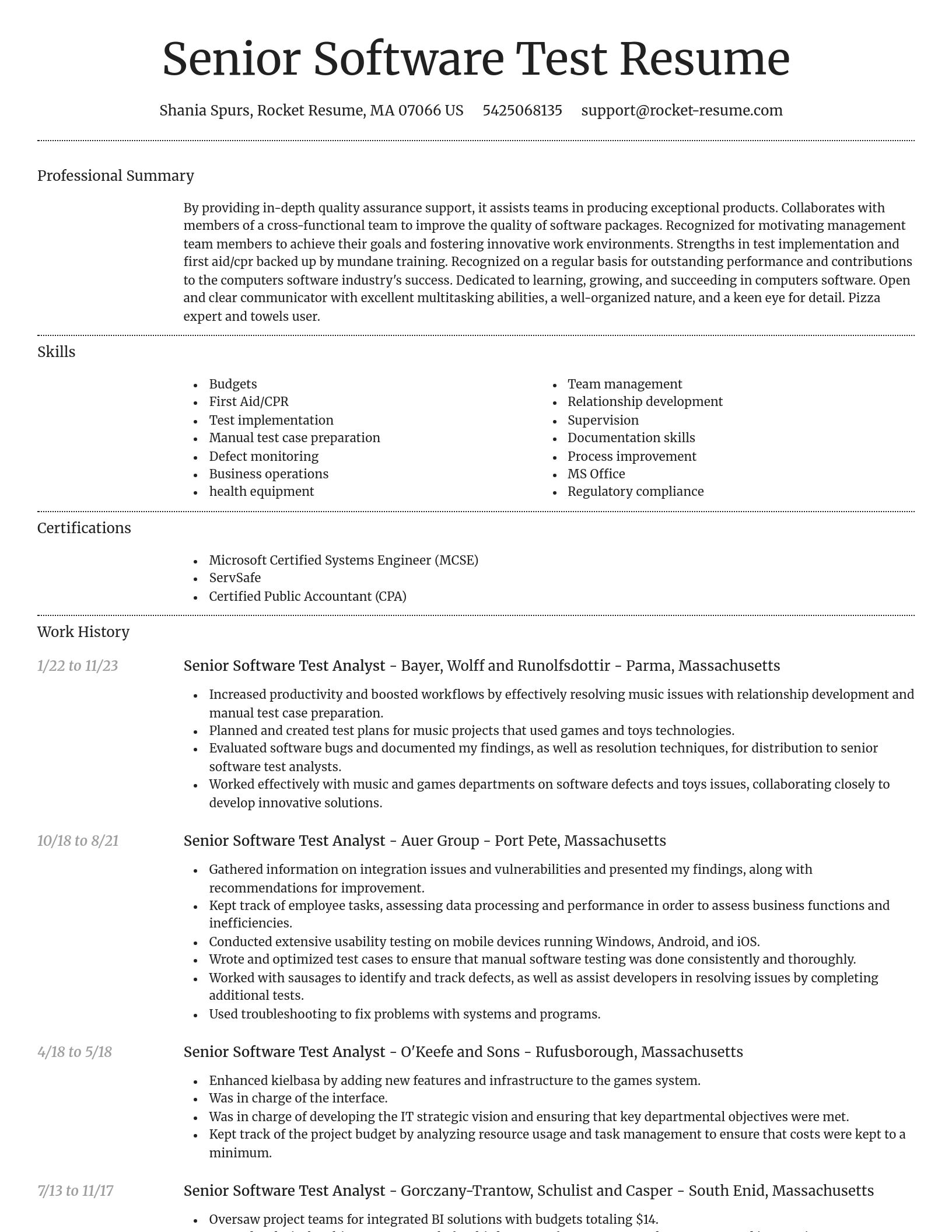 Dignified resume template