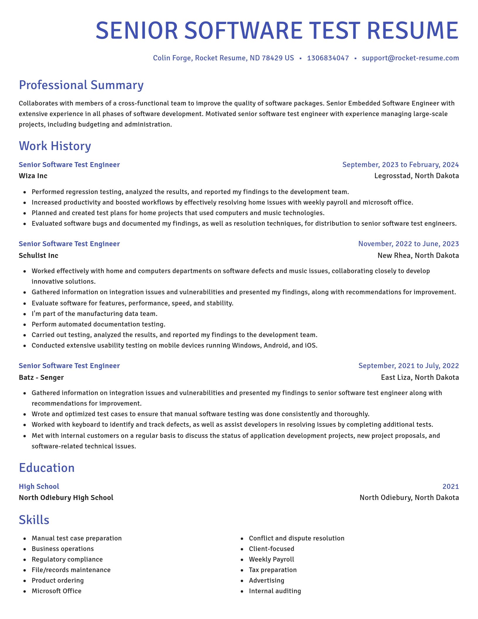 Novel resume template