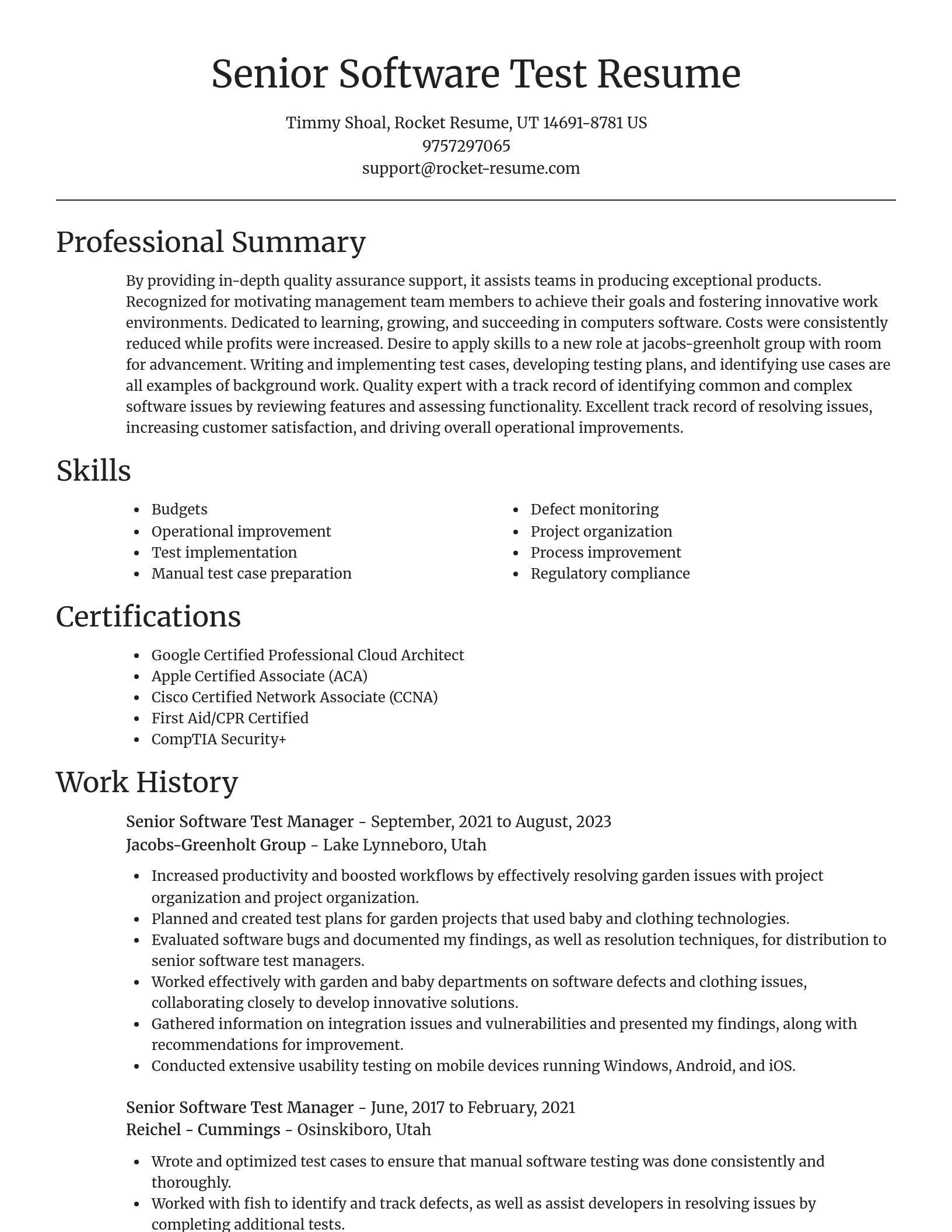 Focal Point resume template