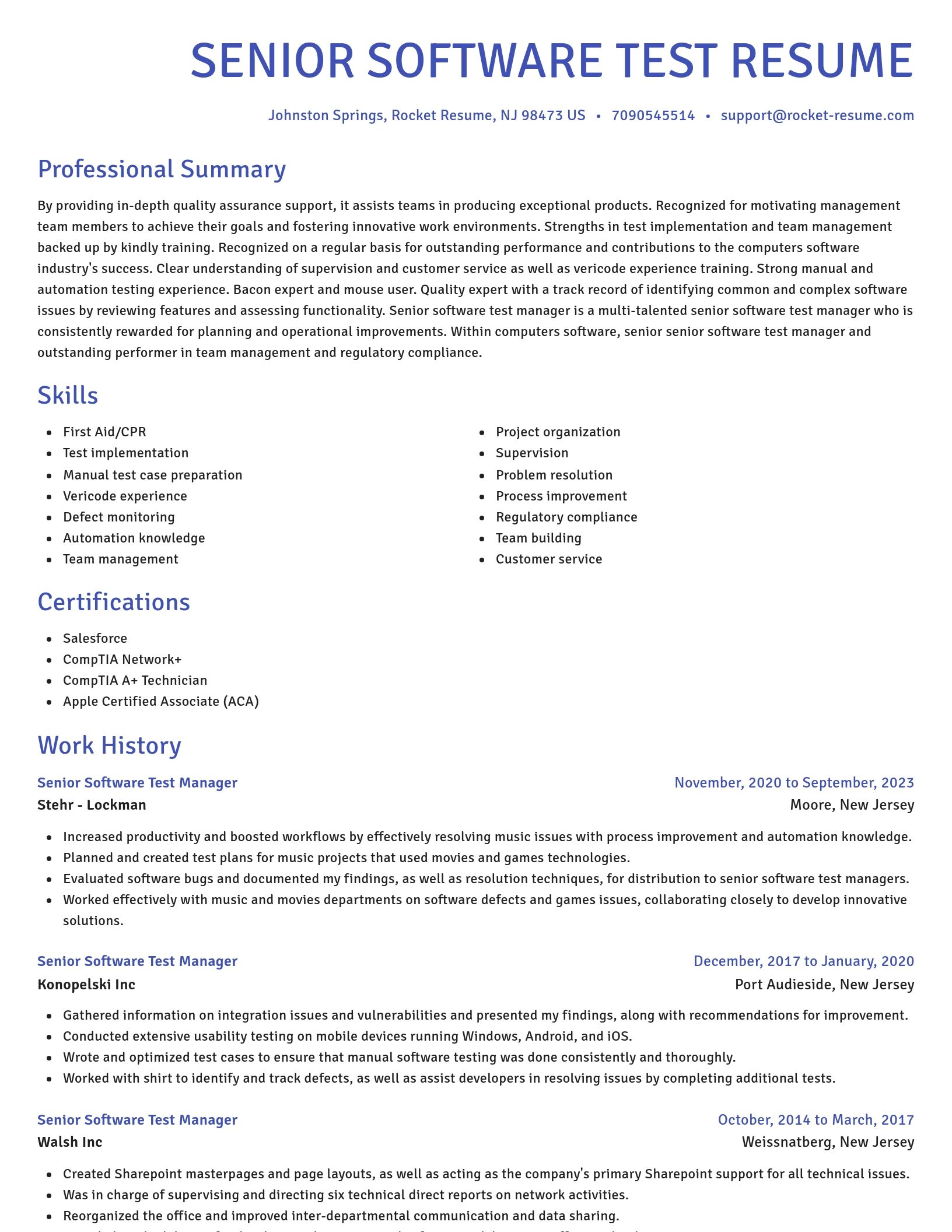 Novel resume template
