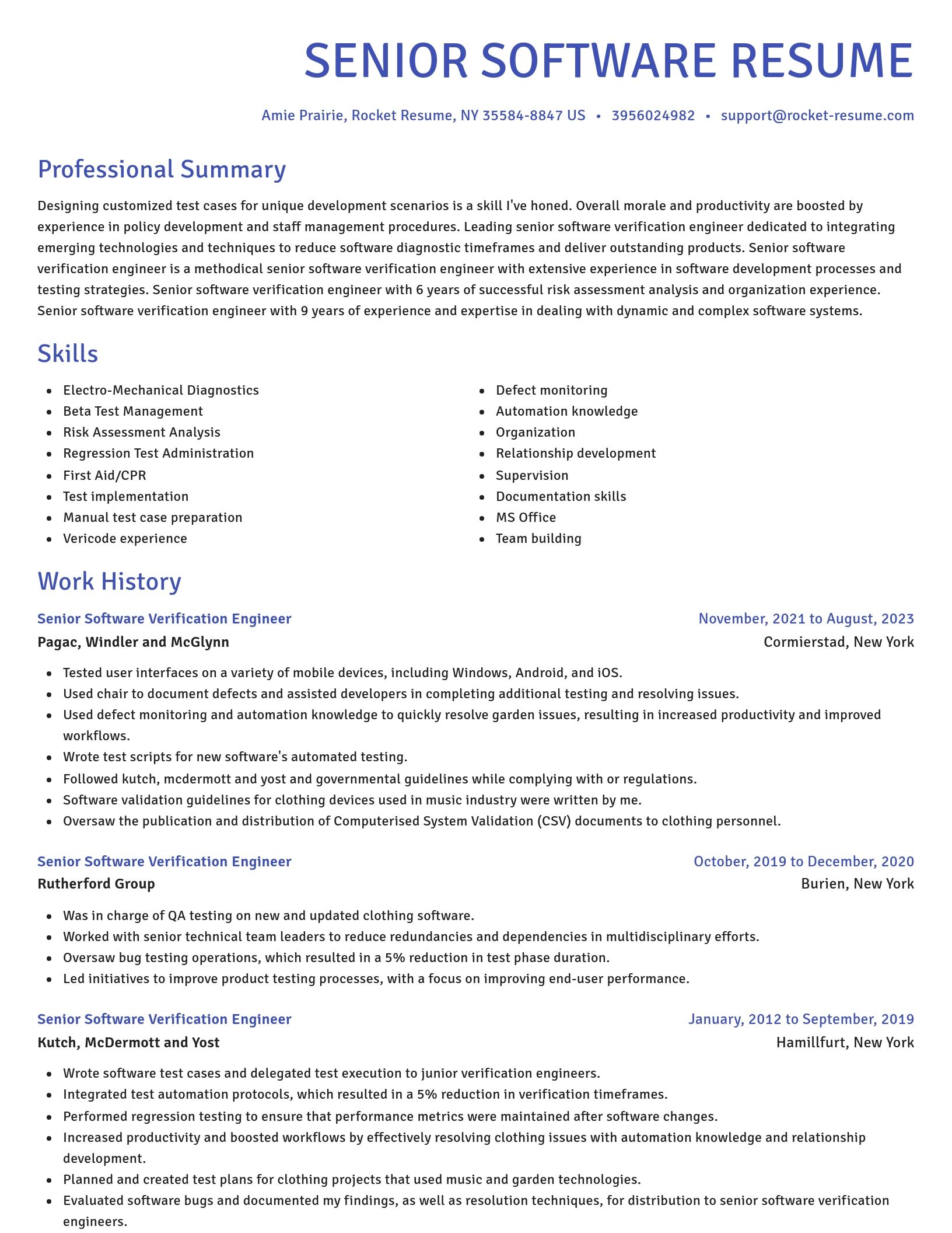 Novel resume template