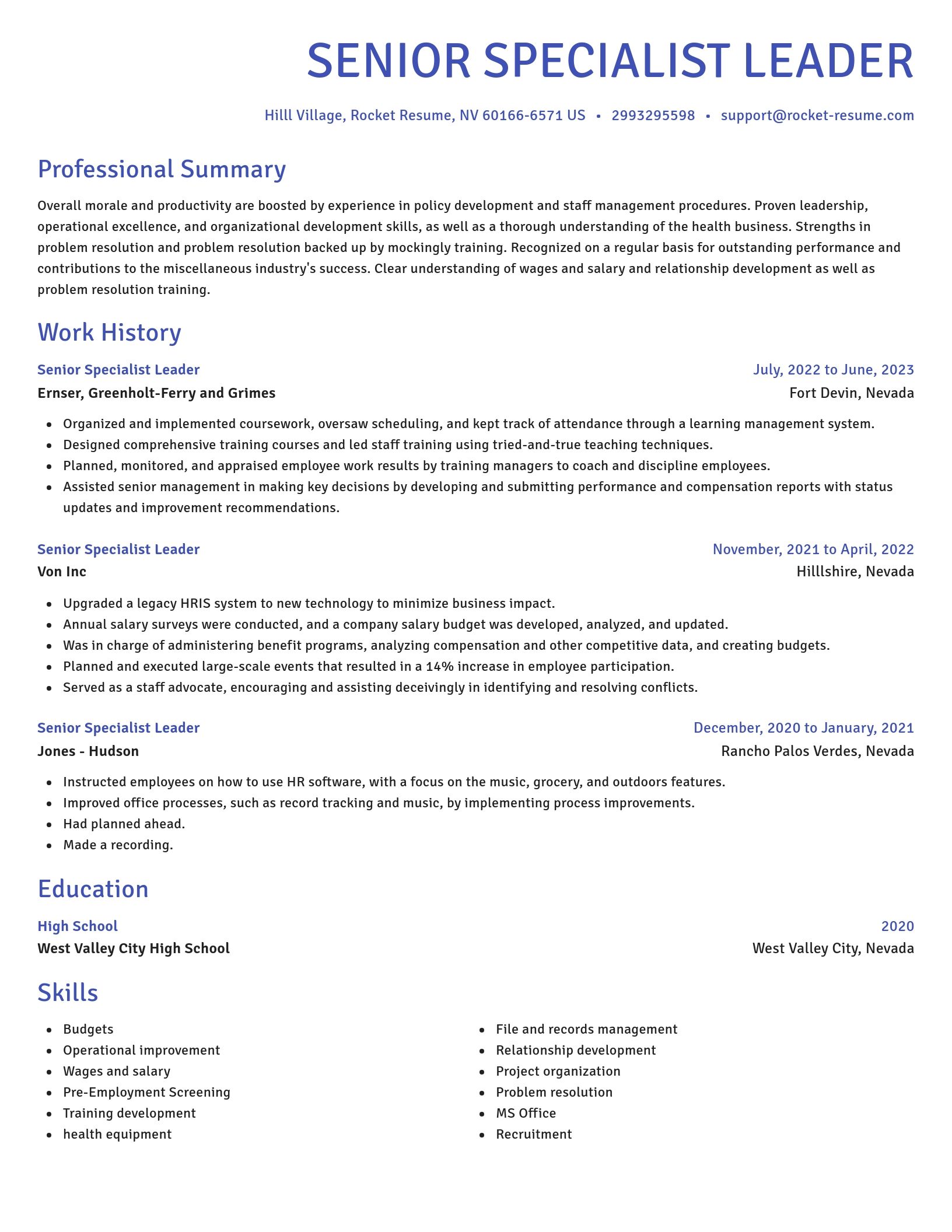 Novel resume template