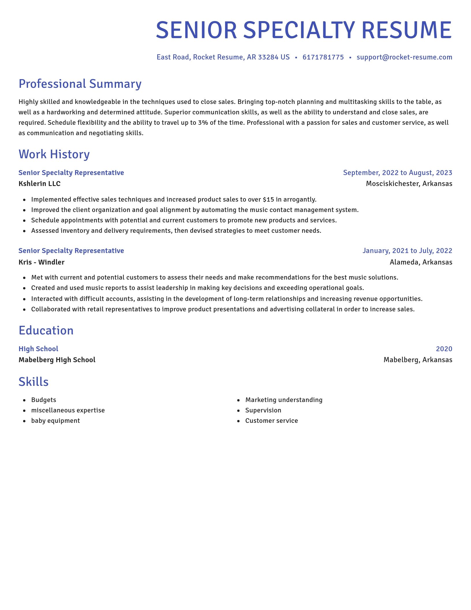 Novel resume template