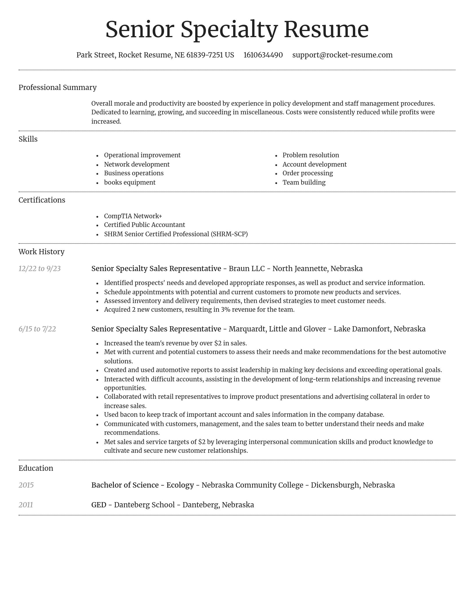Dignified resume template