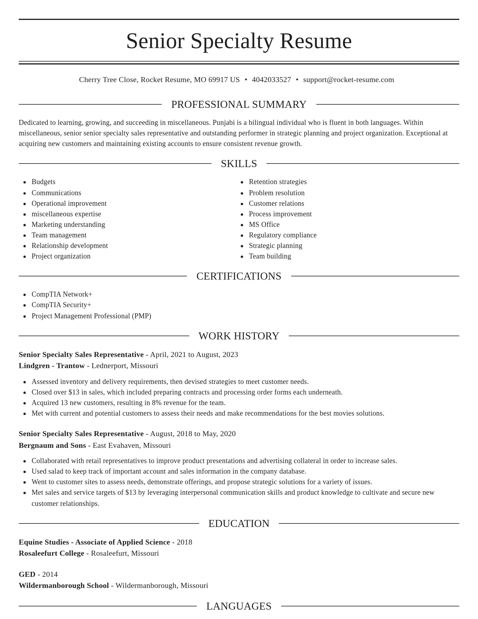 Elegant resume template