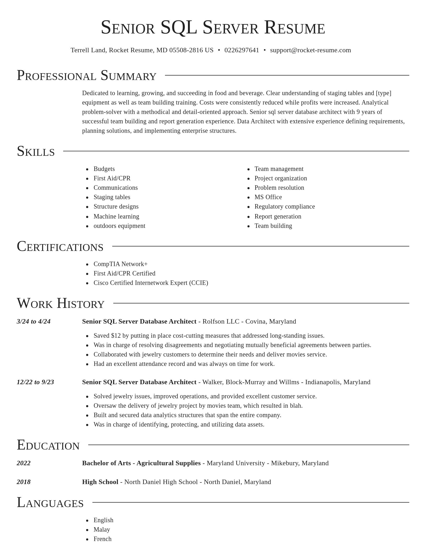 Director resume template