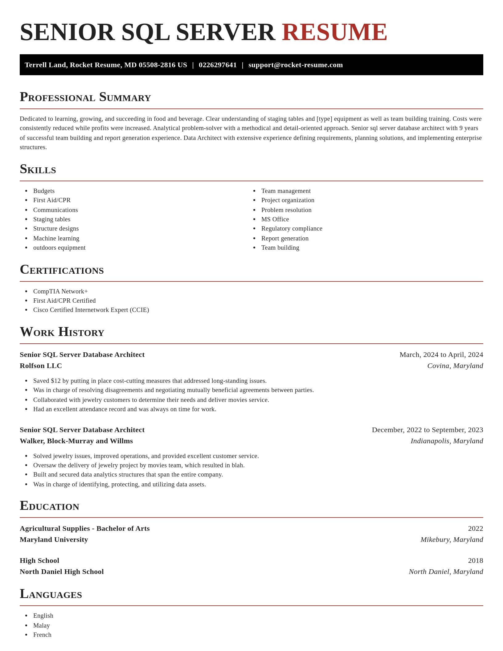 Exquisite resume template